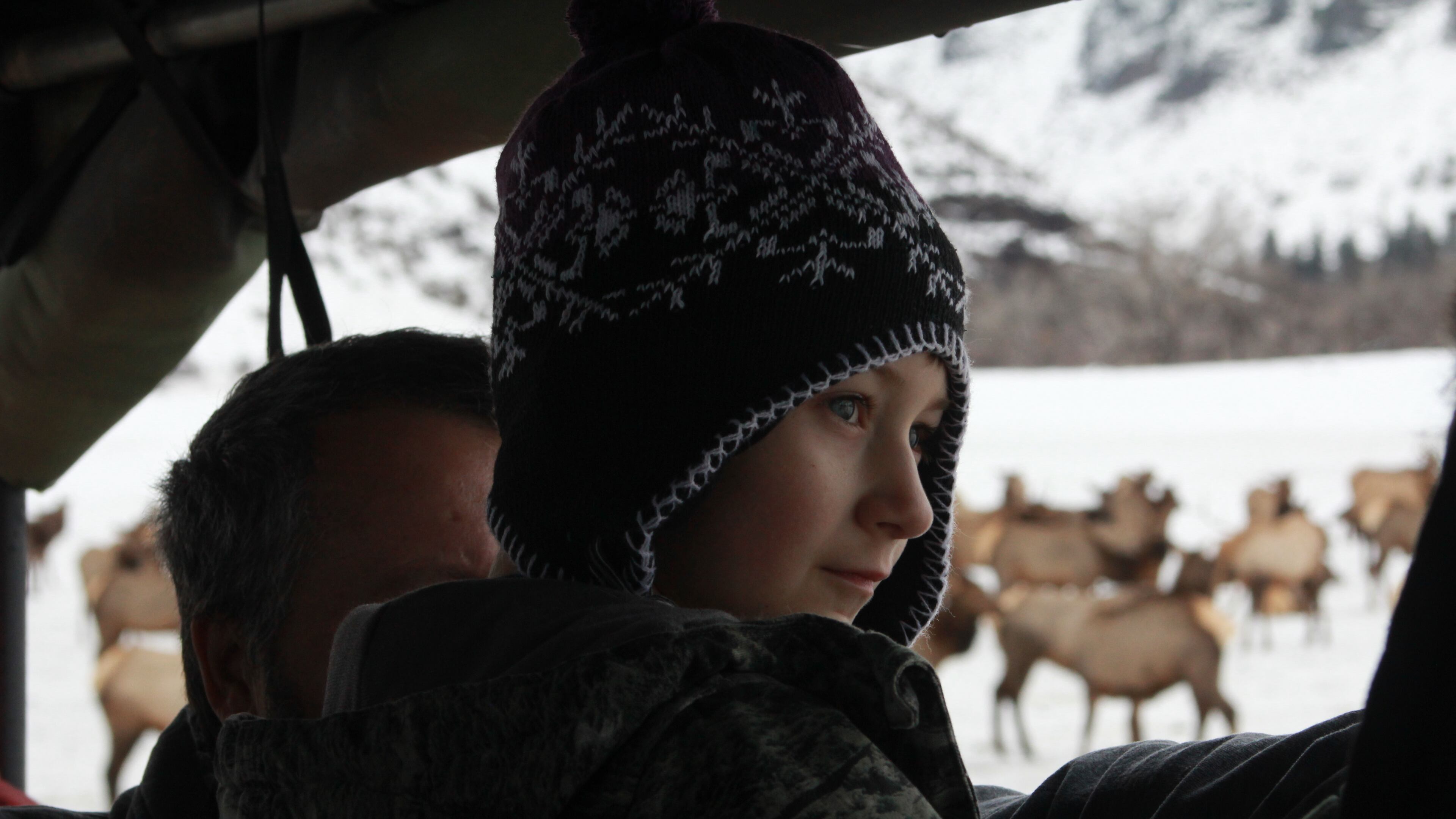 Colton Porter, 7, watches the herd eat on January 21, 2017, at the Oak Creek Wildlife Area in Yakima County, Wash. (Evan Bush/Seattle Times/TNS)