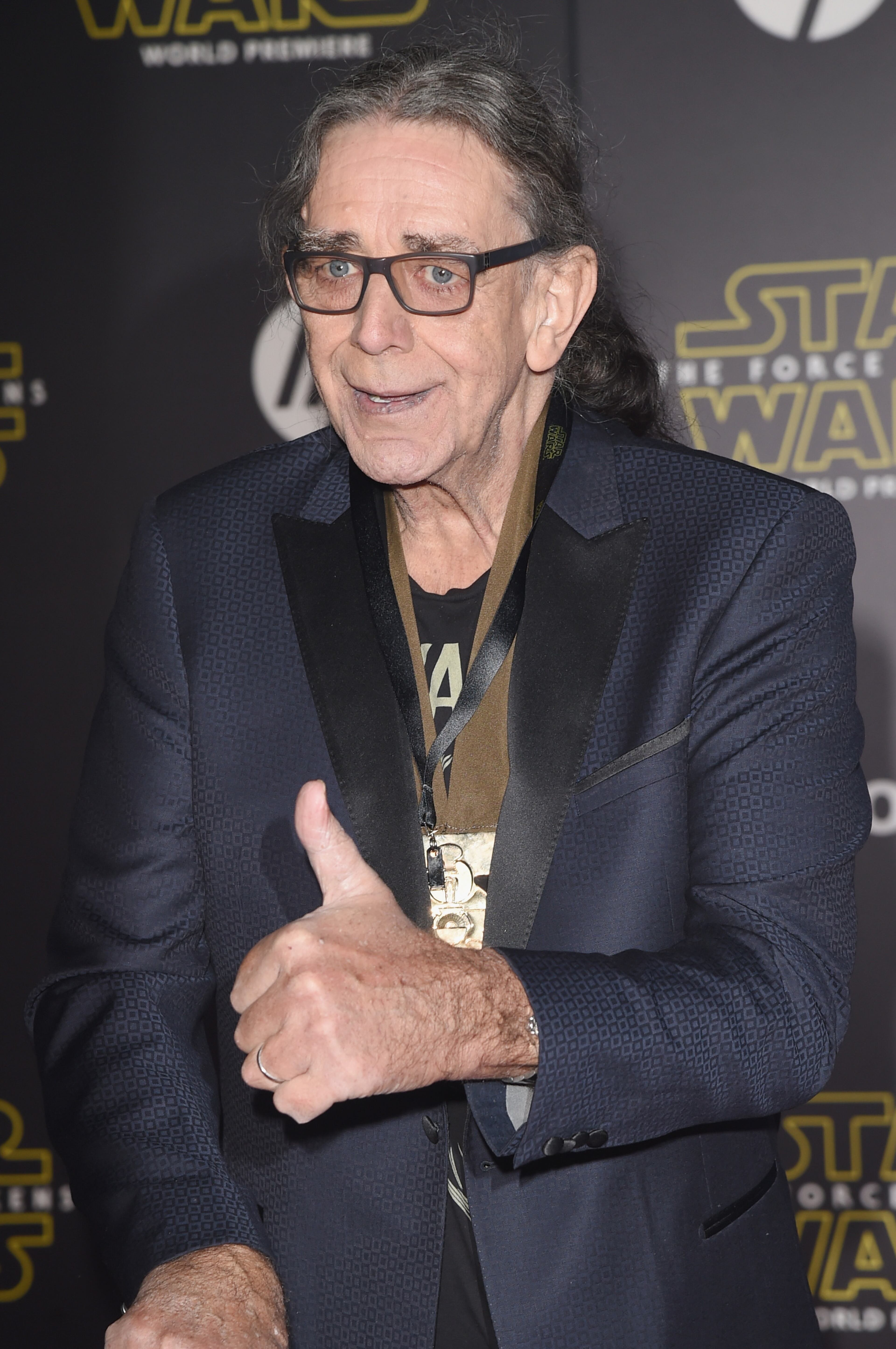 HOLLYWOOD, CA - DECEMBER 14: Actor Peter Mayhew attends the premiere of Walt Disney Pictures and Lucasfilm's "Star Wars: The Force Awakens" at the Dolby Theatre on December 14th, 2015 in Hollywood, California. (Photo by Jason Merritt/Getty Images)