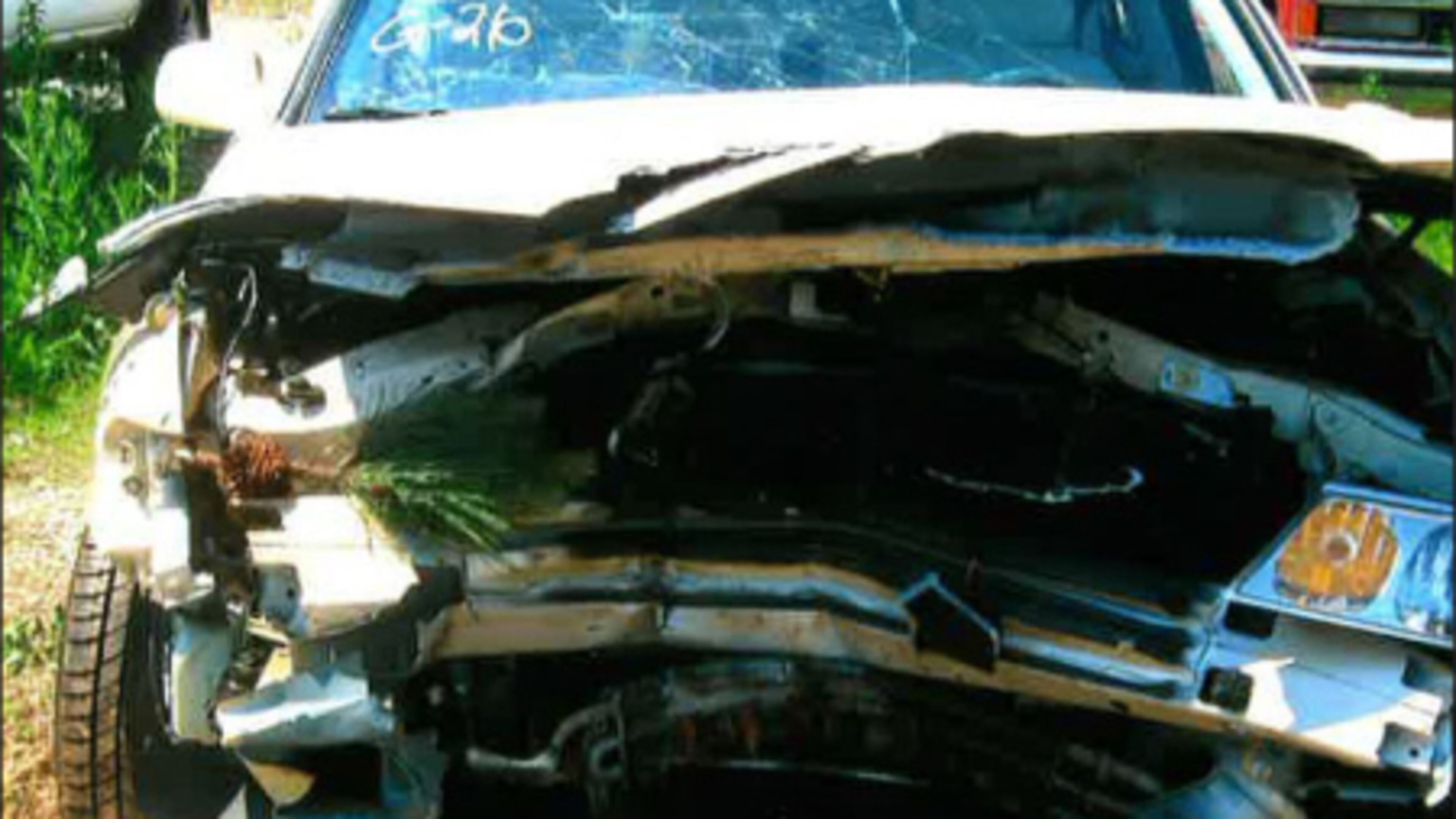 Georgia's rate of traffic fatalities is lower than in nearly all Southern states.