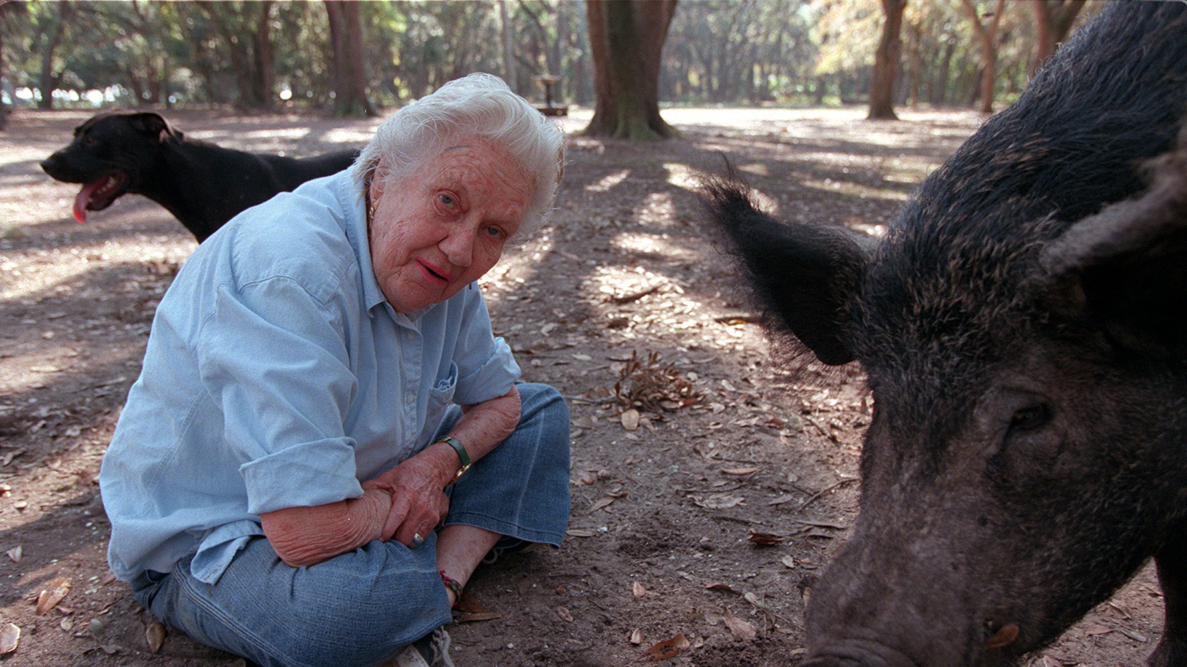 Sandy West sits beside Lucky, a wild Ossabaw hog that has become her pet, on Nov. 9, 1999 on Ossabaw Island. LEVETTE BAGWELL / THE ATLANTA JOURNAL-CONSTITUTION
