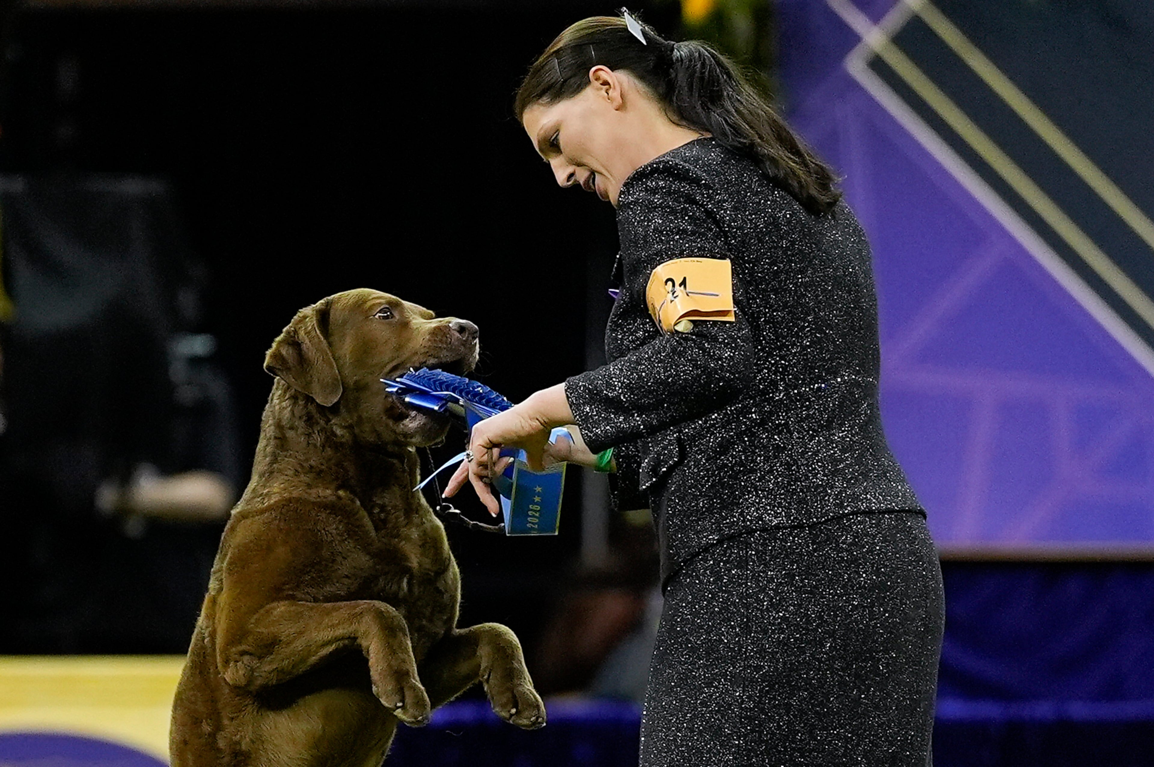 Westminster Dog Show