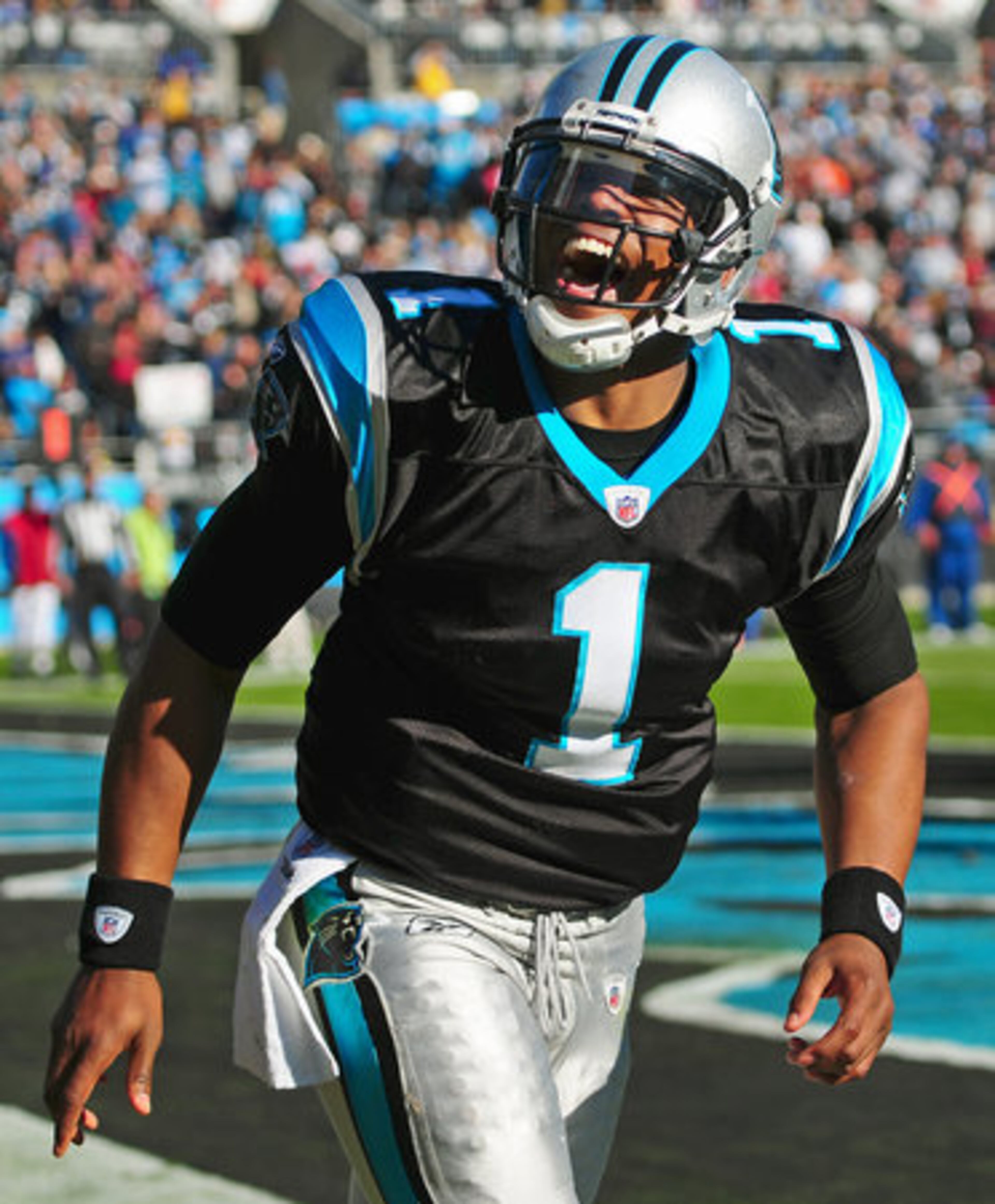 Quarterback Cam Newton began 2011 by leading Auburn to its second national championship. The College Park native was No. 1 overall pick in the NFL Draft. He has 17 passing touchdowns through 14 games. He set the NFL rushing touchdown record for quarterbacks on Dec. 4 with his 13th score.