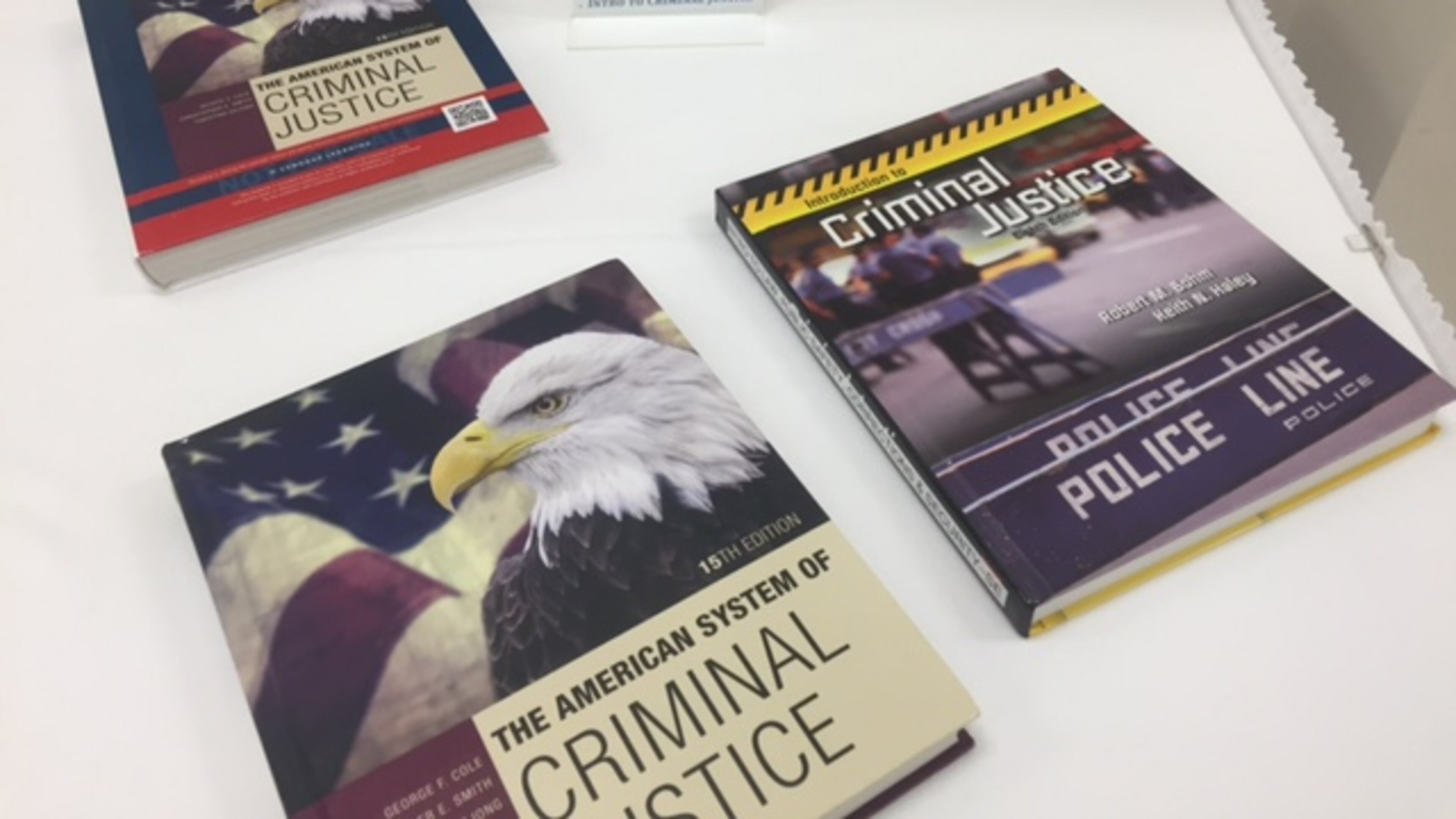 Gwinnett County school officials display textbooks and other materials they planned to use in some courses in September 2016. ERIC STIRGUS / ESTIRGUS@AJC.COM