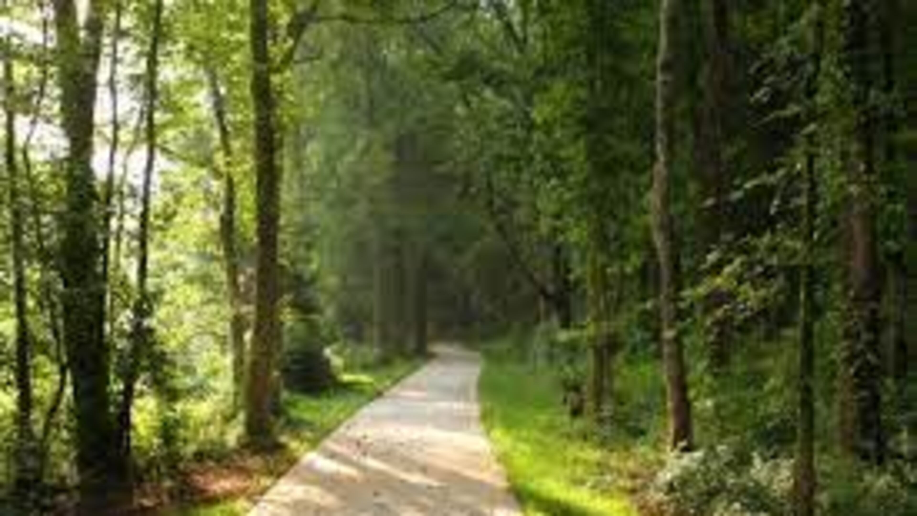 Henry County is developing a trails master plan.