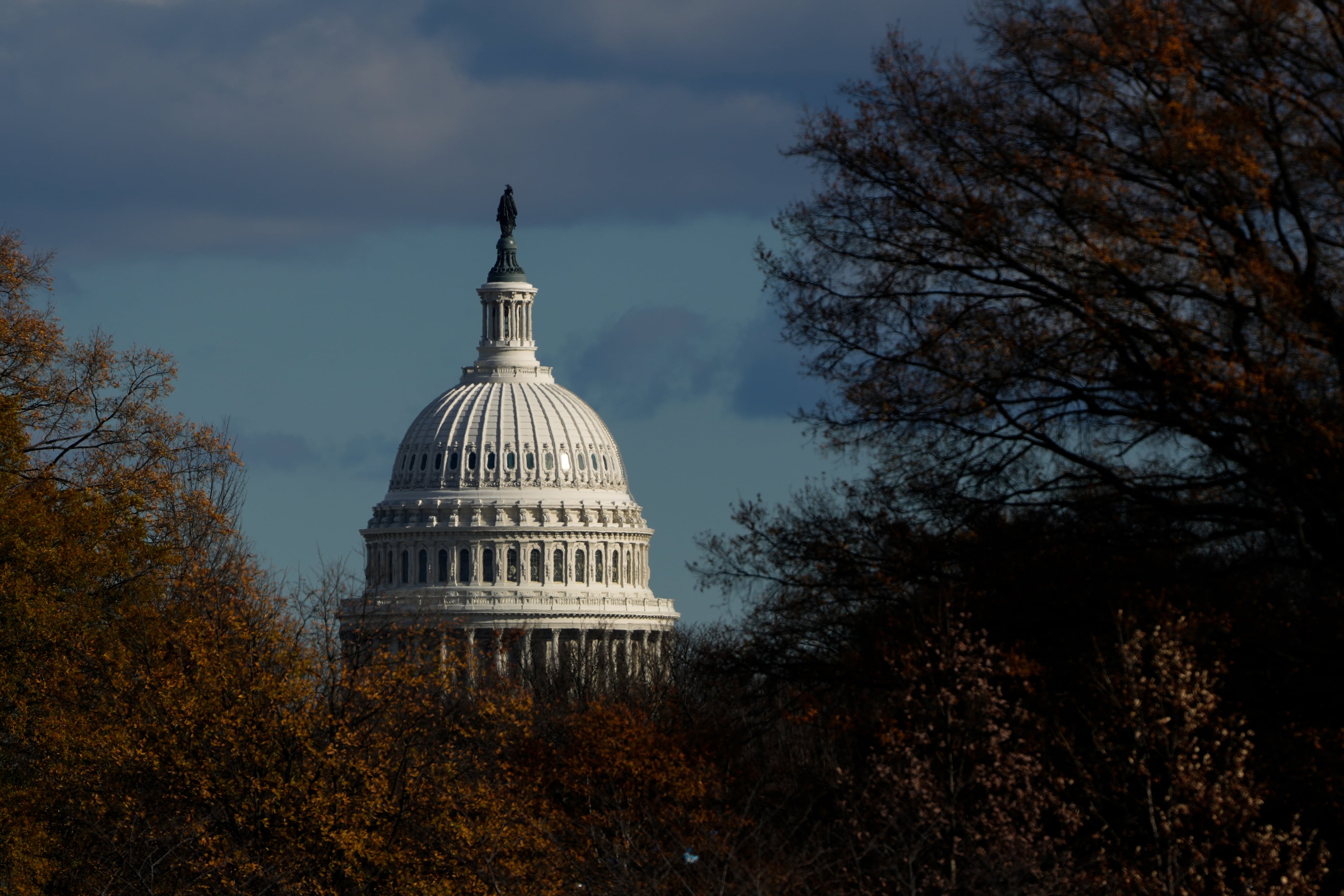 The U.S. Capitol in Washington. (Julia Demaree Nikhinson/AP)