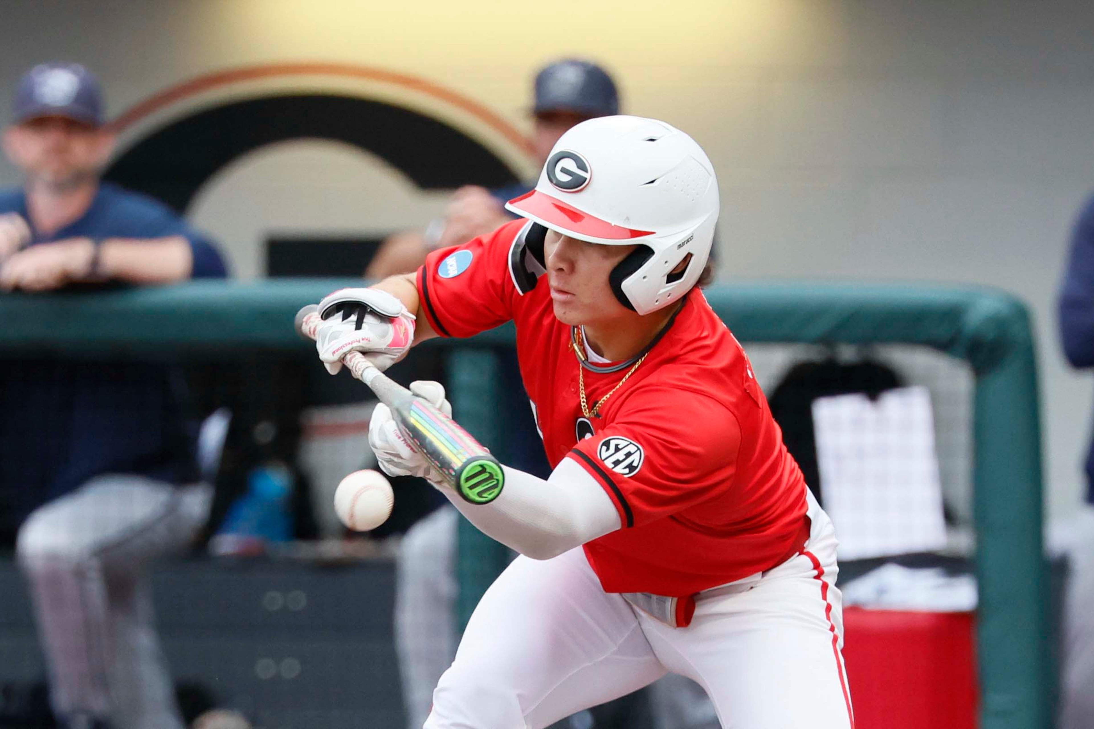 Georgia Bulldogs utility player Kenny Ishikawa (14) connects with a bunt during the seventh inning of their NCAA Regional final game at Foley Field on Sunday, May 31, 2026, in Athens. (Miguel Martinez/AJC)