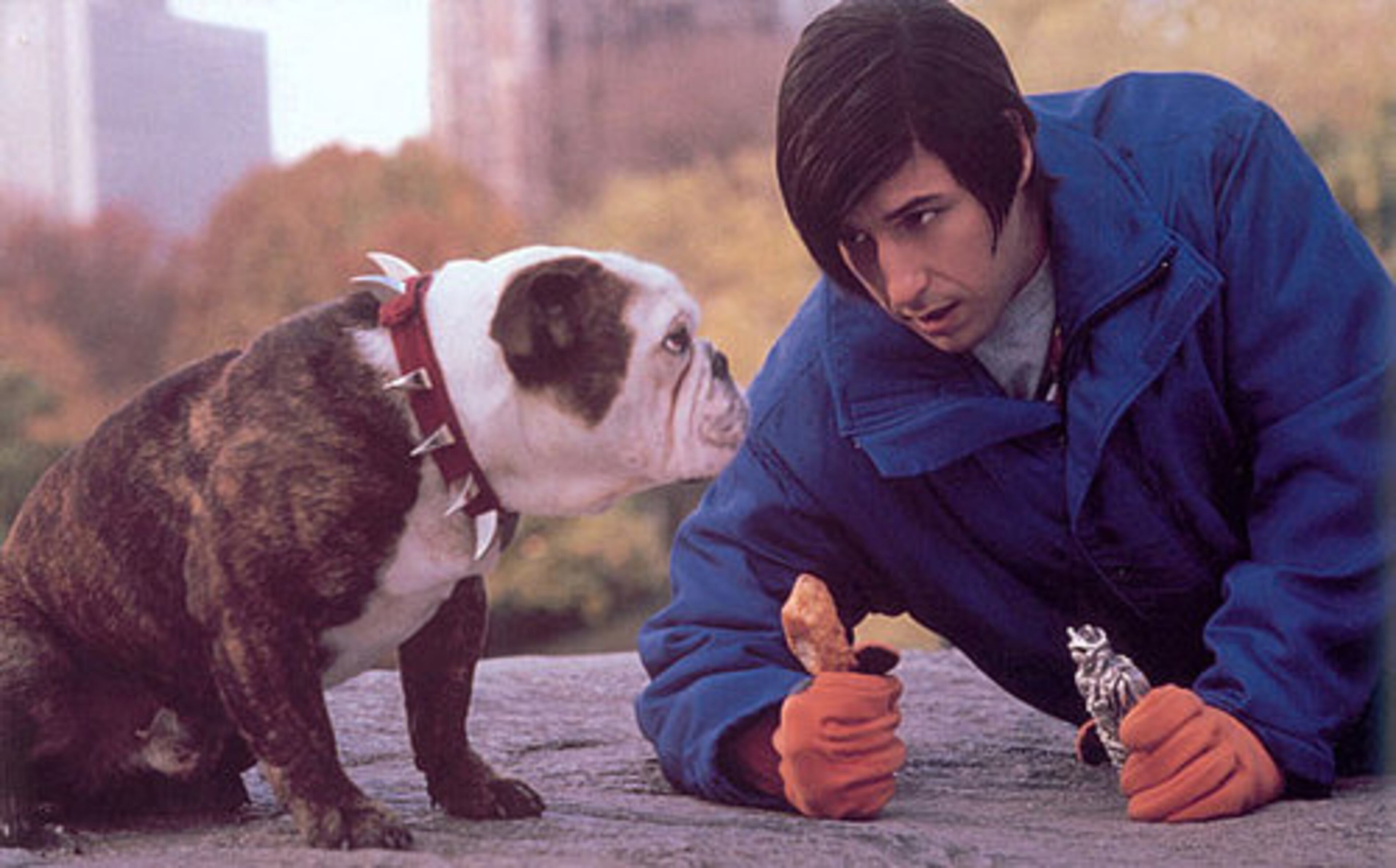 MR. BEEFY FROM 'LITTLE NICKY': "Little Nicky" isn't exactly Academy Award material, but a bulldog acting as a guide for Adam Sandler still counts for something. When Nicky, the son of an angel and the devil, makes his way to earth, Mr. Beefy helps him acclimate to his new human form and earthly surroundings. Mr. Beefy's street smarts and wisecracking antics deem him as one cool pup.