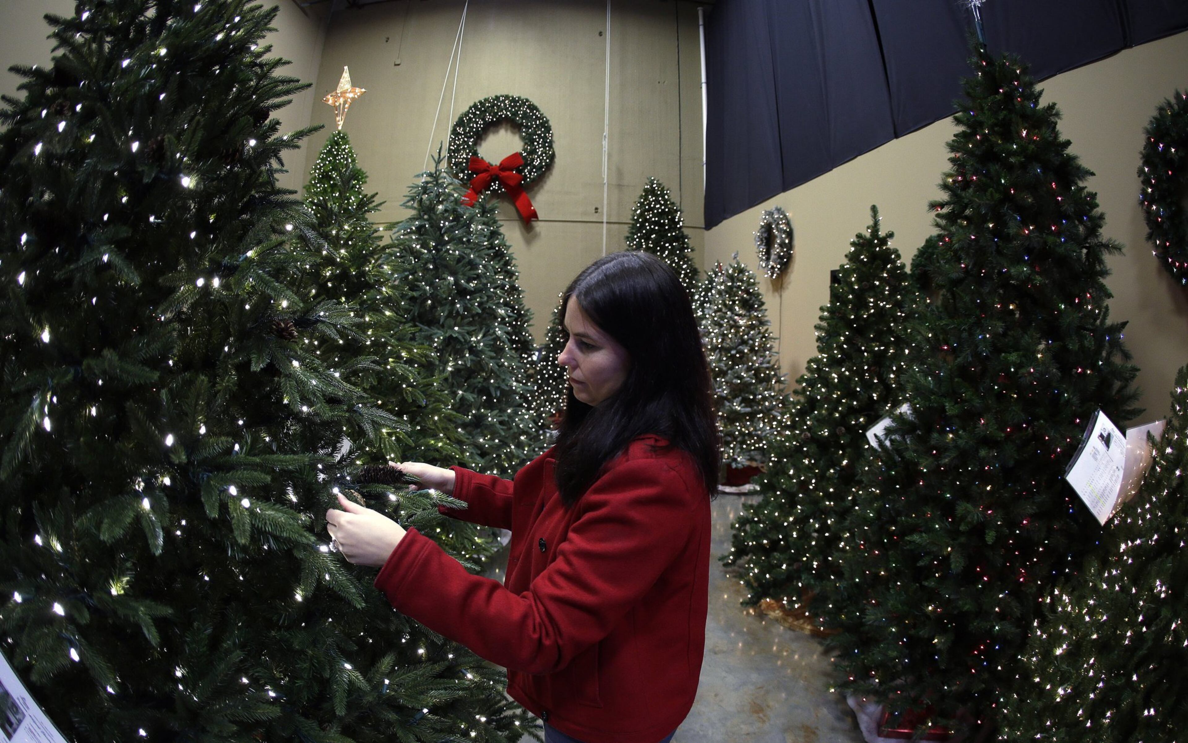 In this Friday, Nov. 22, 2013 photo, Christmas Lights Etc. employee Ashley Hollis fluffs a Christmas tree on the company’s temporary showroom floor in Alpharetta, Ga. Christmas Lights Etc., which sells trees, lights and decorations online to consumers and corporate customers year-round, gets under 5 percent of its annual revenue from showroom sales to the public during the holidays. Like other online retailers with temporary stores, the company uses the showroom as an opportunity to let shoppers see the merchandise before they buy, especially since a tree can be a big-ticket item. (AP Photo/John Bazemore)
