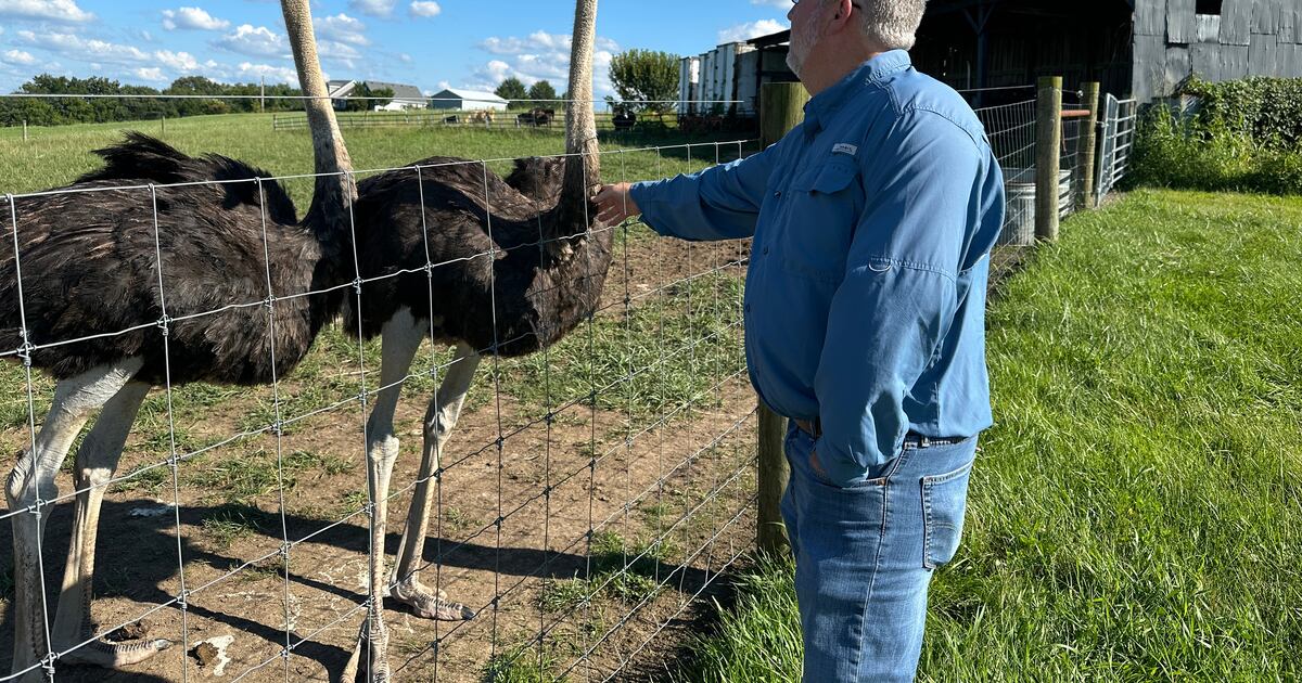 A Kentucky man with a meat allergy was craving a burger. So he got into ostrich farming