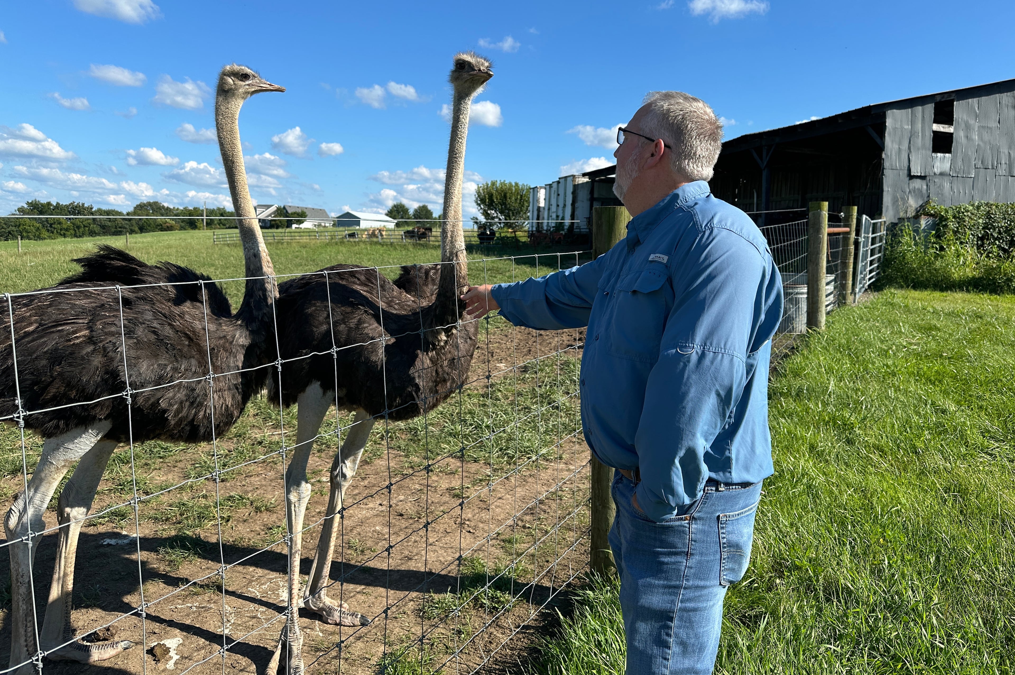 Alpha-Gal-Ostrich Meat