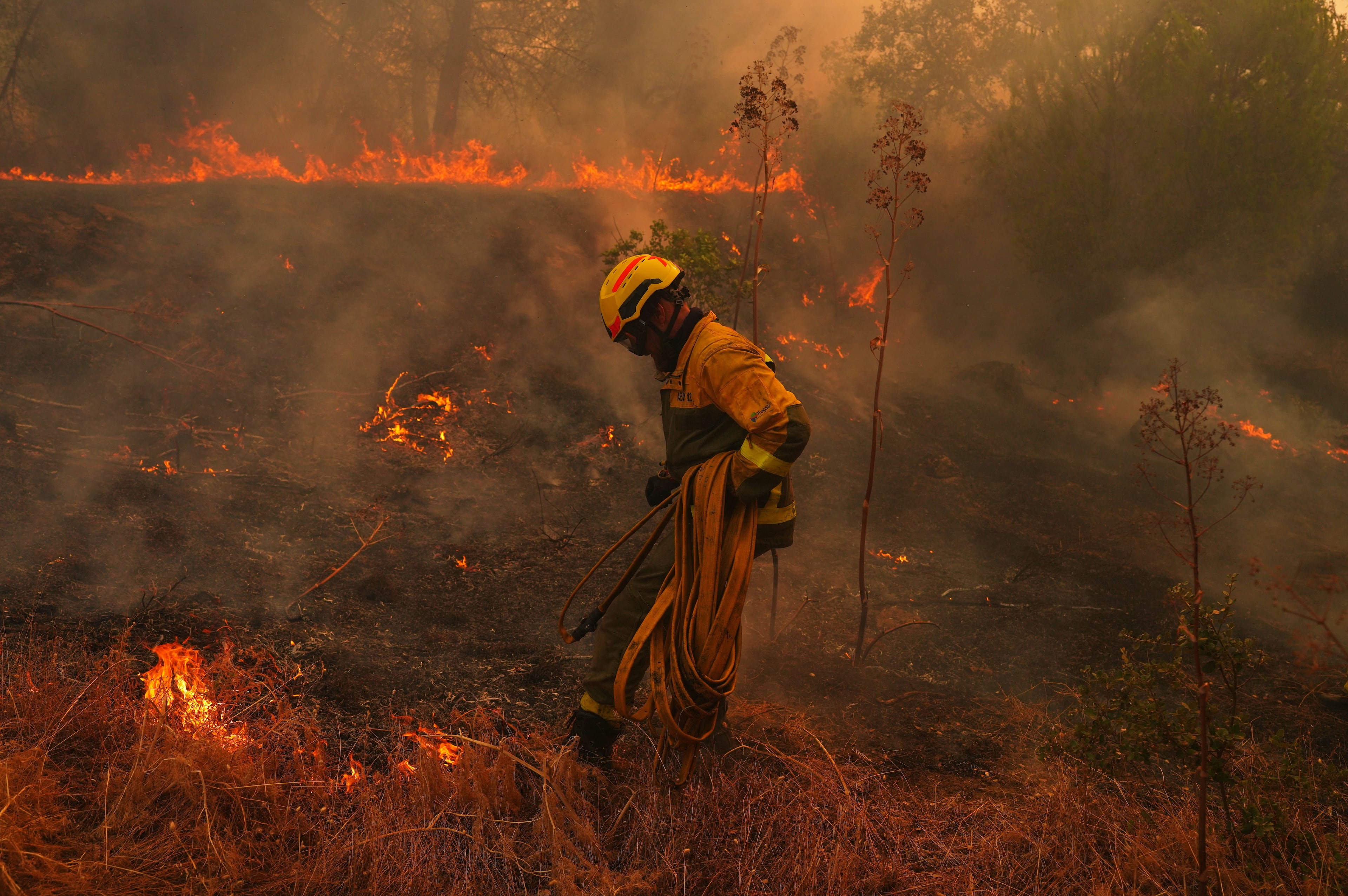 Spain Wildfires