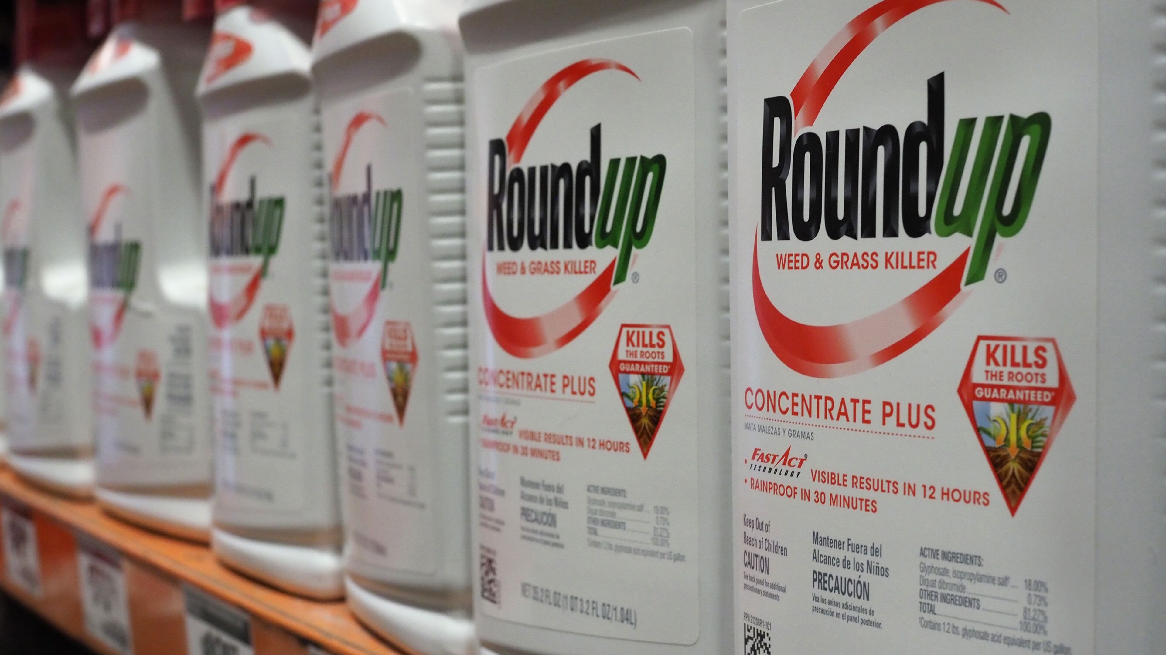 Monsanto has settled a $2 billion court case alleging its weedkiller, Roundup, caused a Georgia man's cancer. The verdict was the second largest in the state. (Robyn Beck/AFP/Getty Images/TNS)