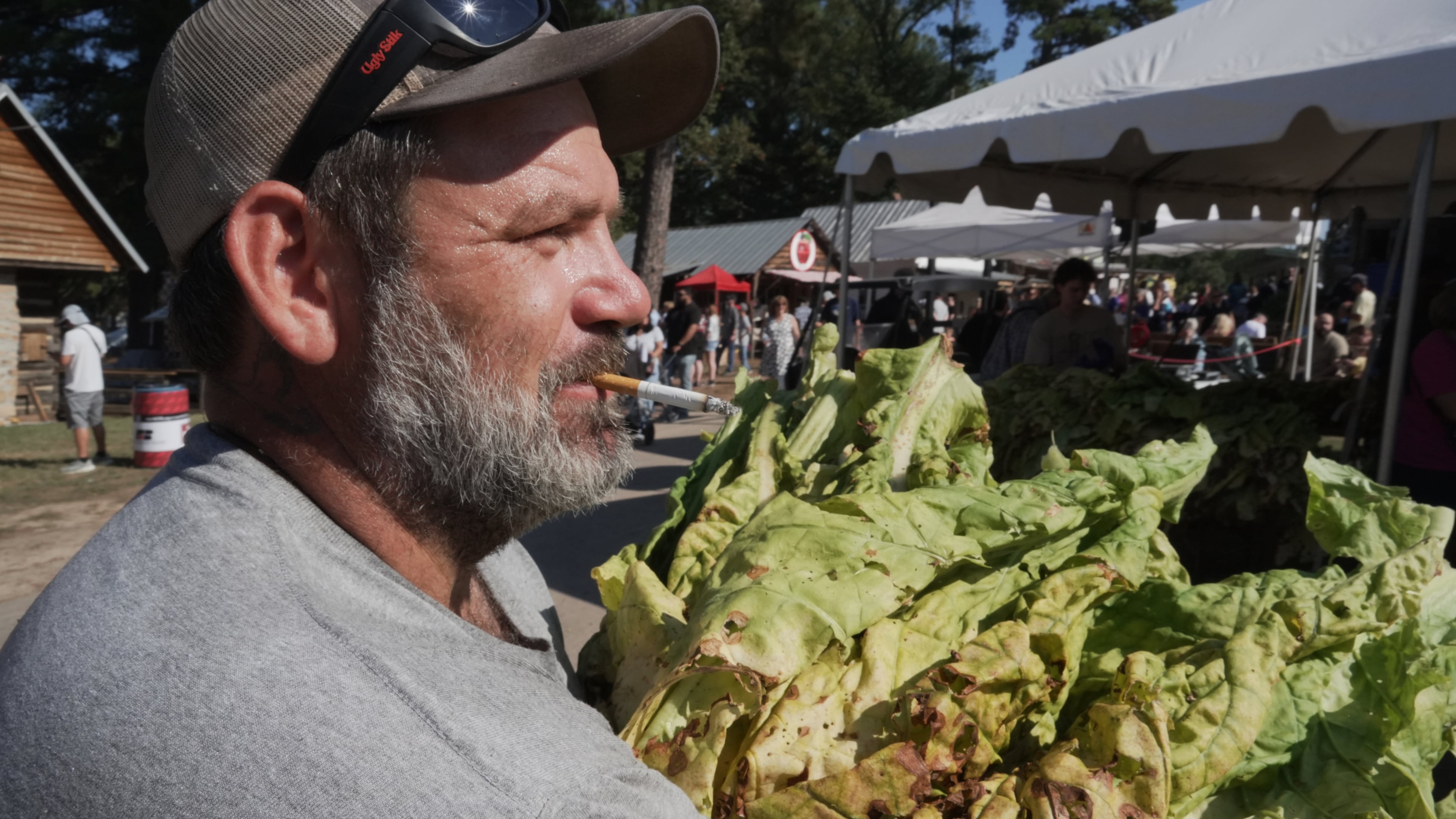 Josh Ramsey, an employee at the Oxford Tobacco Research Station, smokes a cigarette as he carries a bundle of tobacco leaves for the annual tobacco stringing contest at the State Fair in Raleigh, N.C., on Friday, Oct. 16, 2026. (AP Photo/Allen G. Breed)