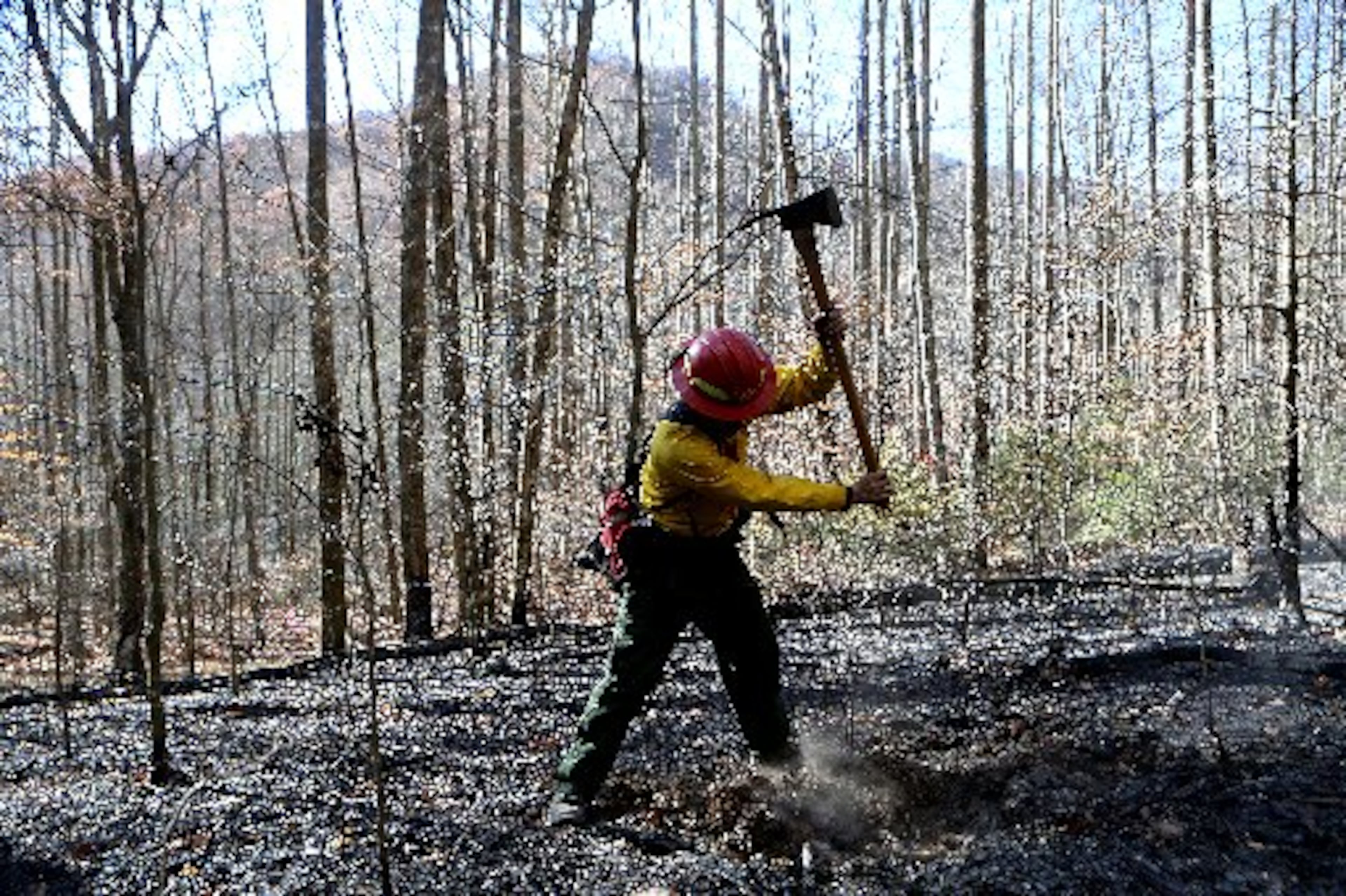 Firefighters used rakes, shovels, leaf blowers and chainsaws to clear trees and shrubs. CURTIS COMPTON / CCOMPTON@AJC.COM