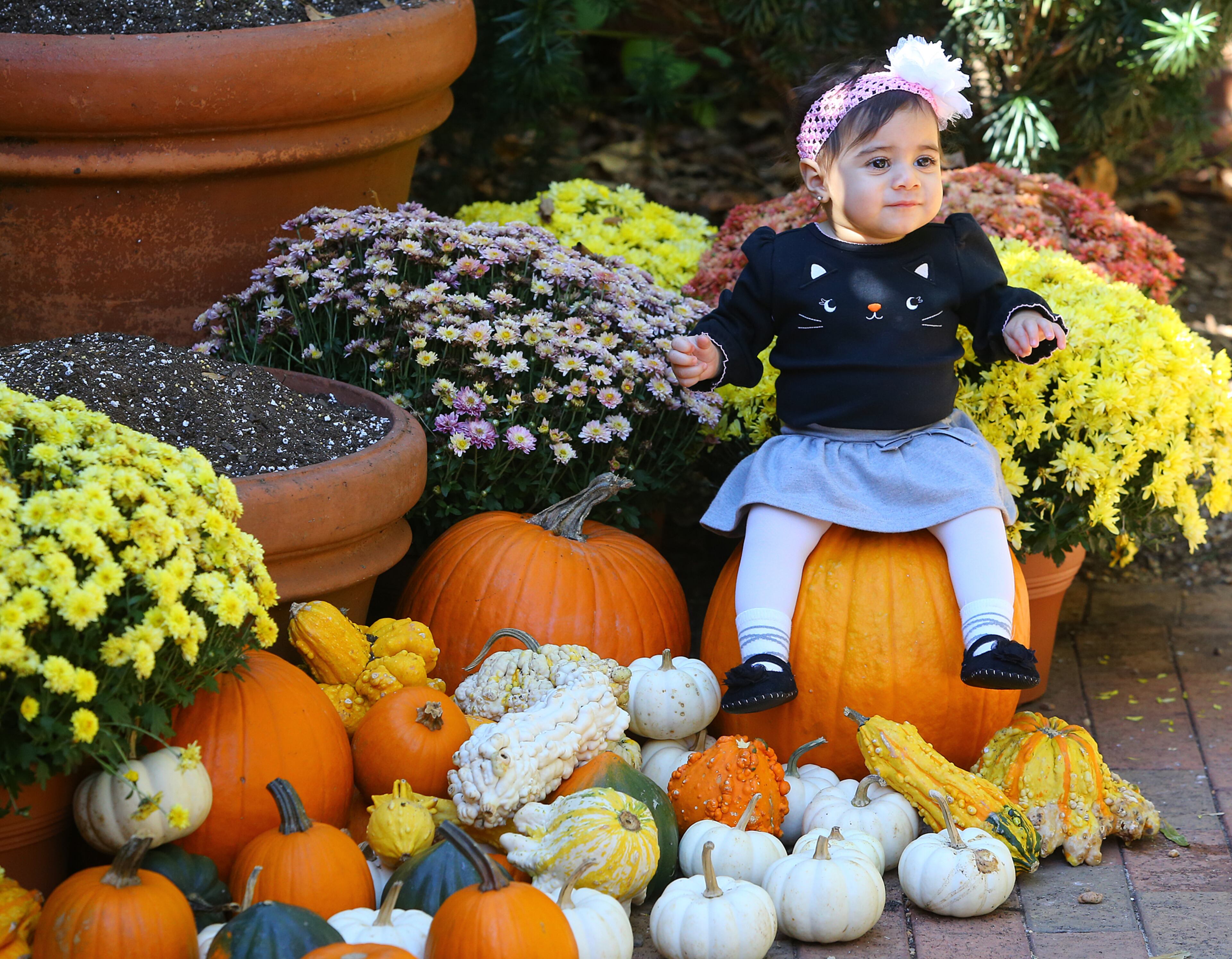 Eight-month-old Isabella Lopez of Powder Springs sits on a pumpkin in the children's garden so her parents can snap her picture CURTIS COMPTON / CCOMPTON@AJC.COM