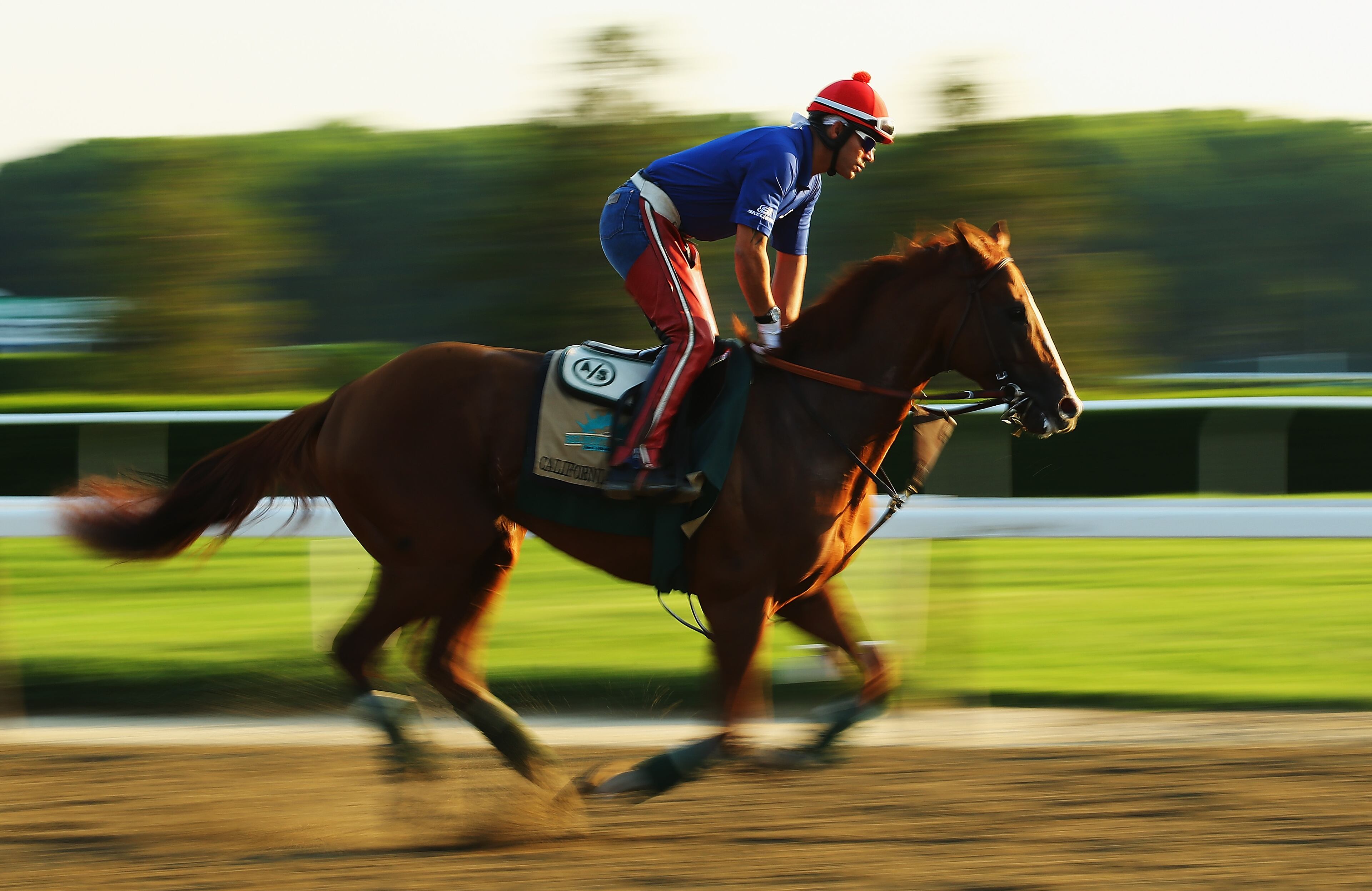 ELMONT, NY - JUNE 03: Kentucky Derby and Preakness winner California Chrome, with exercise rider Willie Delgado up, trains on the main track at Belmont Park on June 3, 2014 in Elmont, New York. He is scheduled to race for the Triple Crown in the 146th running of the Belmont Stakes (Photo by Al Bello/Getty Images)