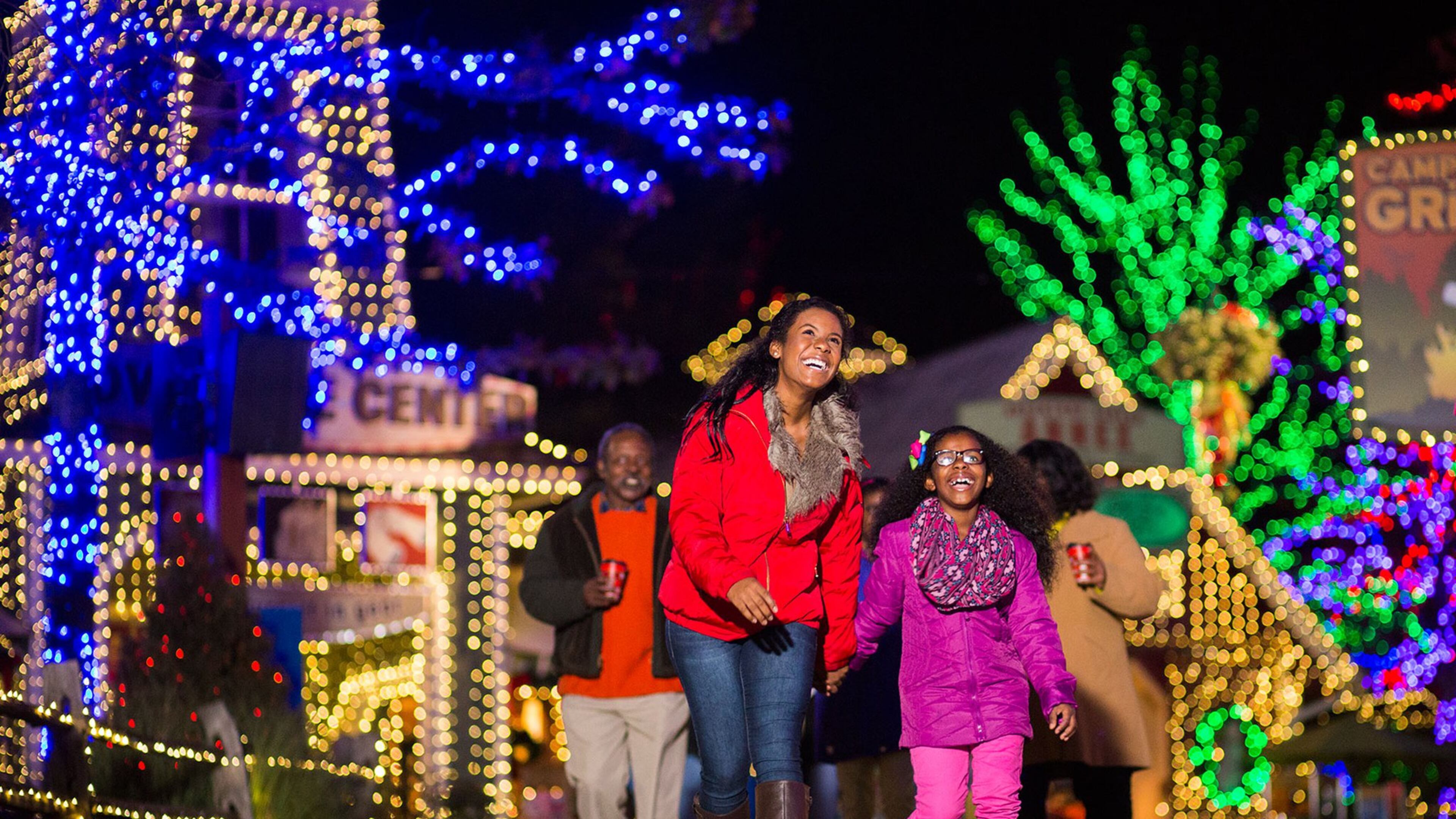 Find more than 2 million lights and other holiday activities at Stone Mountain Christmas. Contributed by Stone Mountain Park
