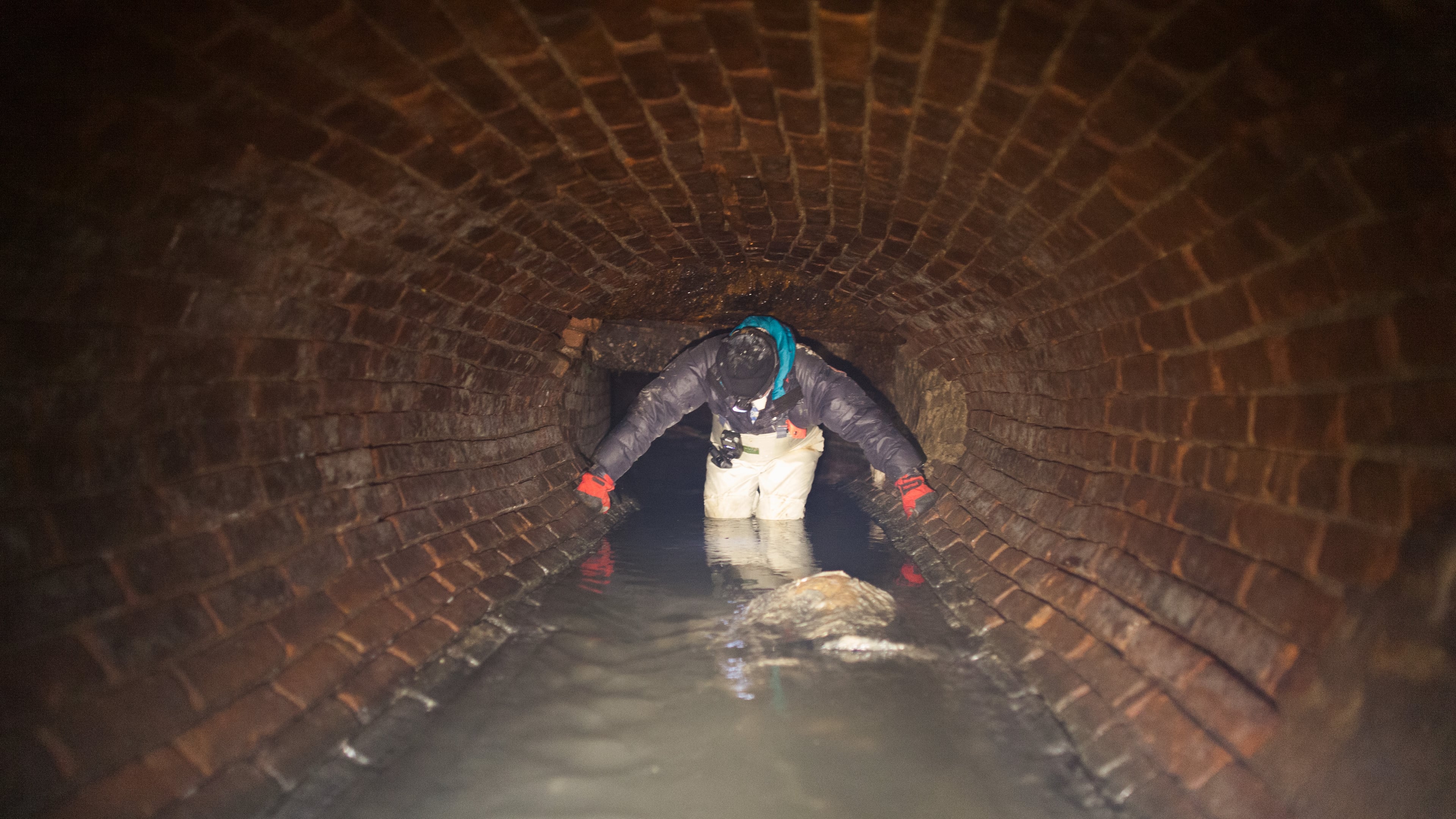 This undated photo provided by Steve Duncan, shows the Canal Street sewer in New York. ( Steve Duncan via AP)