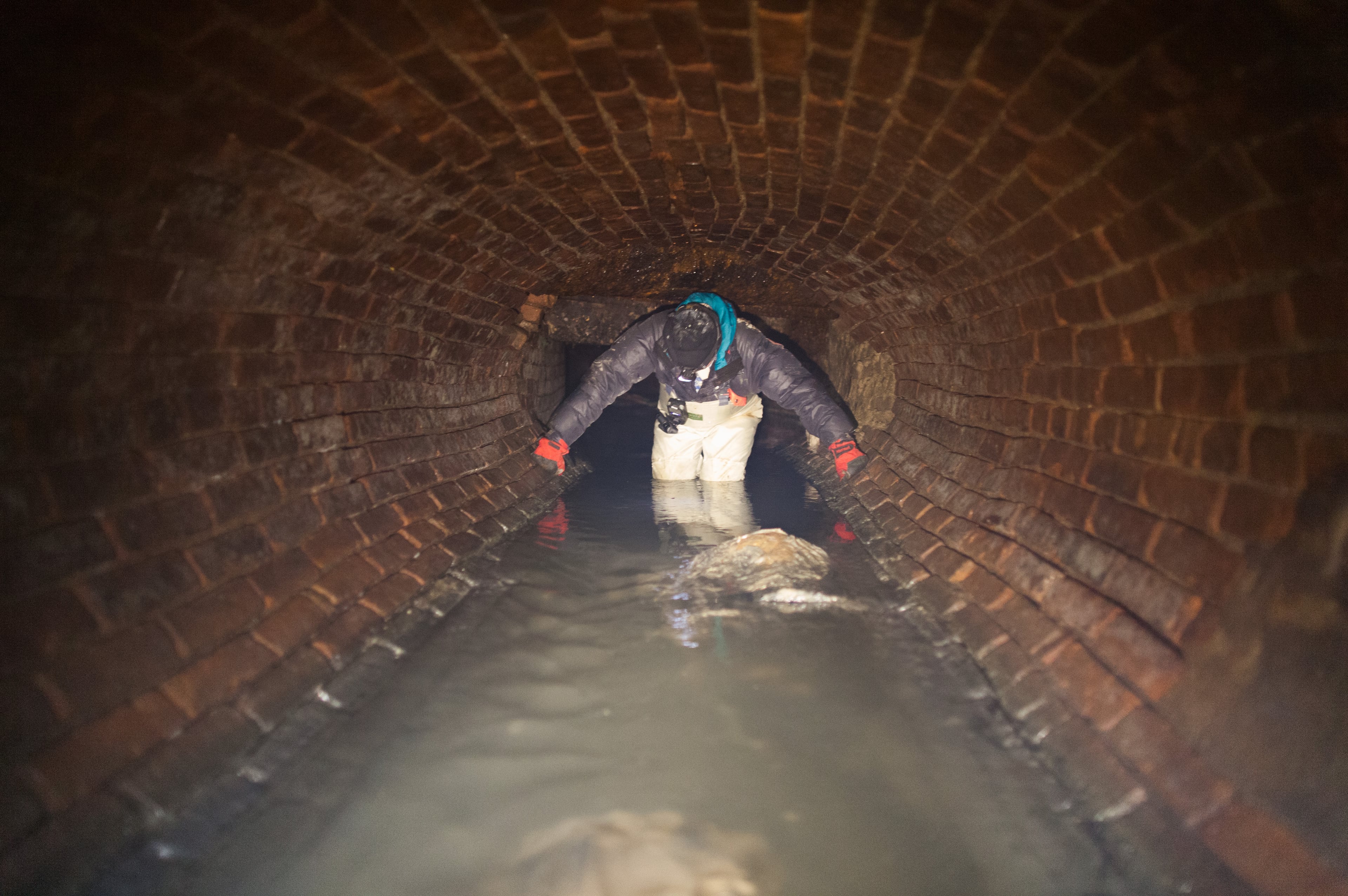 Brooklyn Sewer Mystery