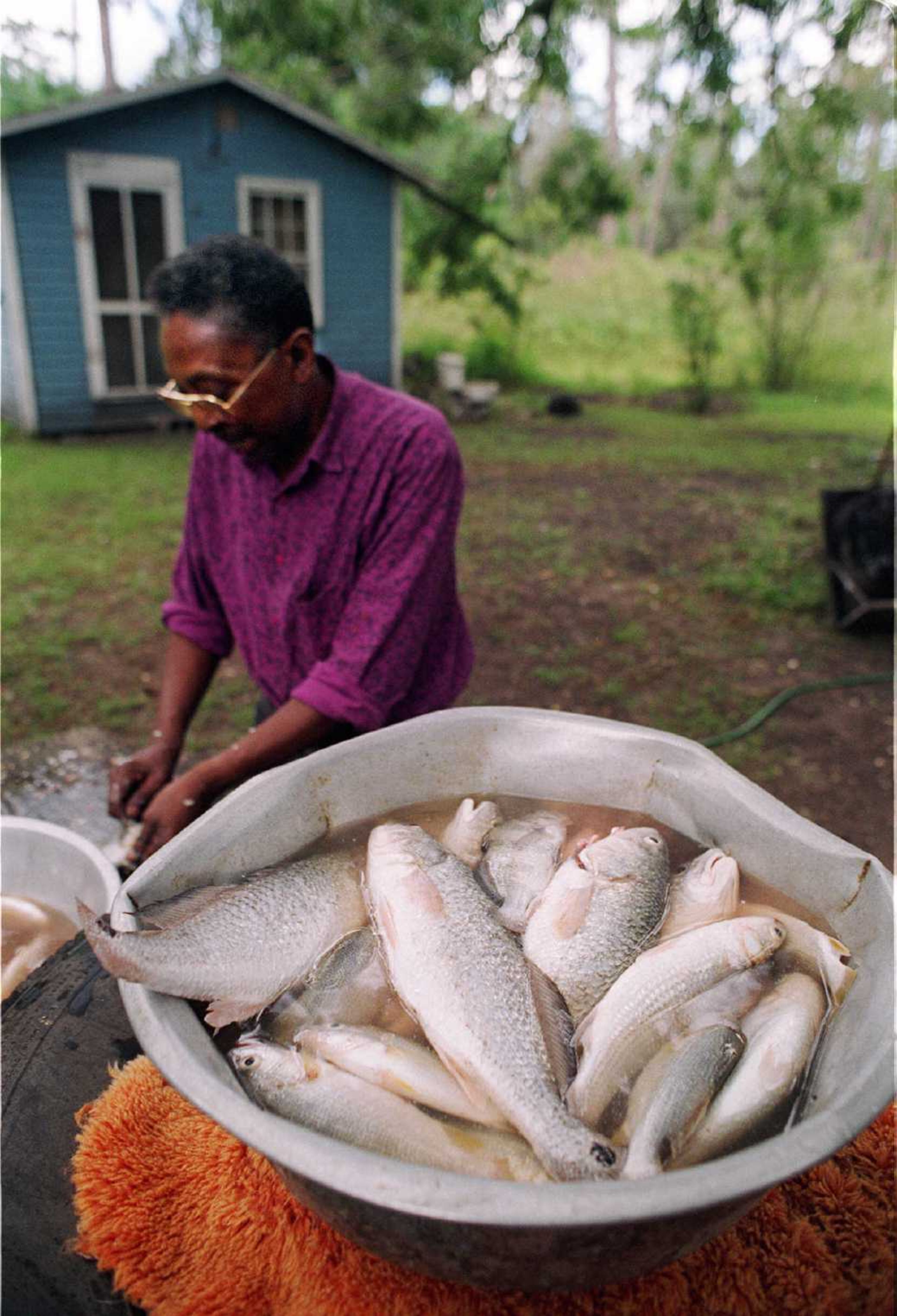 The Gullah community still lives off the land and ocean, weaving baskets and concocting dishes of smoked rice and okra, in Hog Hammock, Ga., a hamlet on Sapelo Island, one of the state's barrier islands. Designated by Congress in 2006, the Gullah/Geechee Cultural Heritage Corridor extends from Wilmington, North Carolina in the north to Jacksonville, Florida in the south. It is home to one of America's most unique cultures, a tradition first shaped by captive Africans brought to the southern United States from West Africa and continued in later generations by their descendents. For a downloadable map of the Gullah/Geechee Cultural Heritage Corridor, please visit the National Park Service's website: http://www.nps.gov/guge/planyourvisit/upload/Map.pdf. -- Information and text from NPS.gov