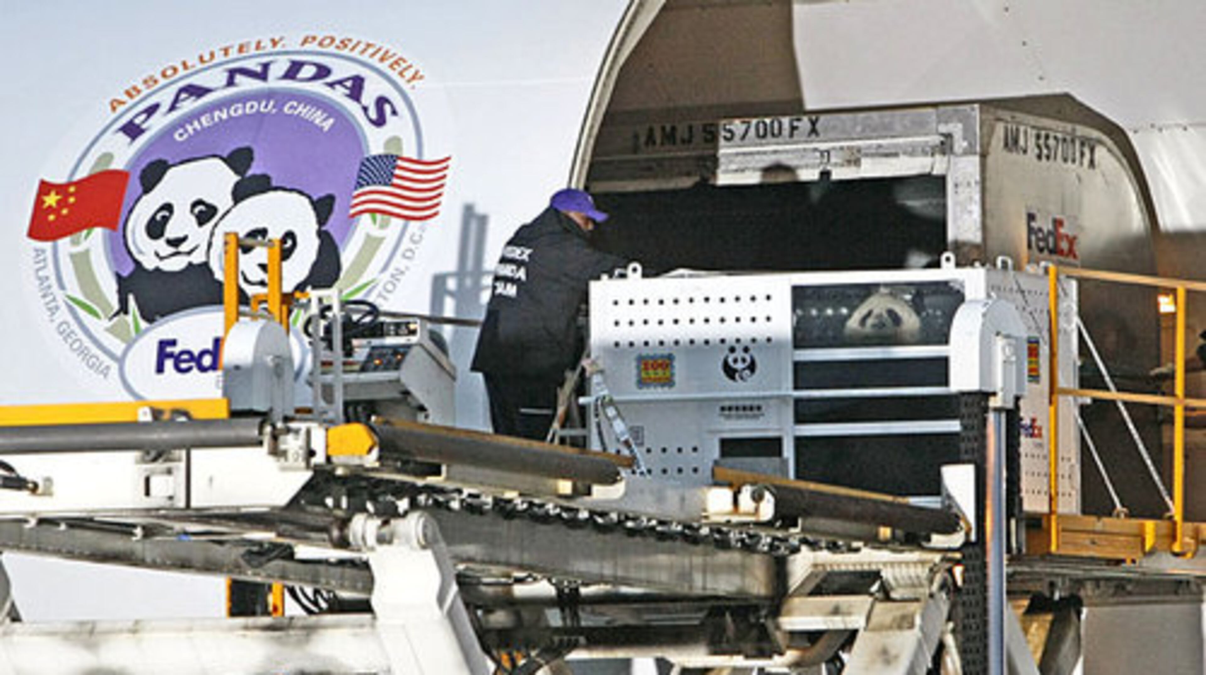 Mei Lan peers from her crate as she is loaded on board. Mei Lan's flight will stop in D.C. to pick up her cousin panda, Tei Shan at the National Zoo. Then the two will be flown to Chengdu, China.
