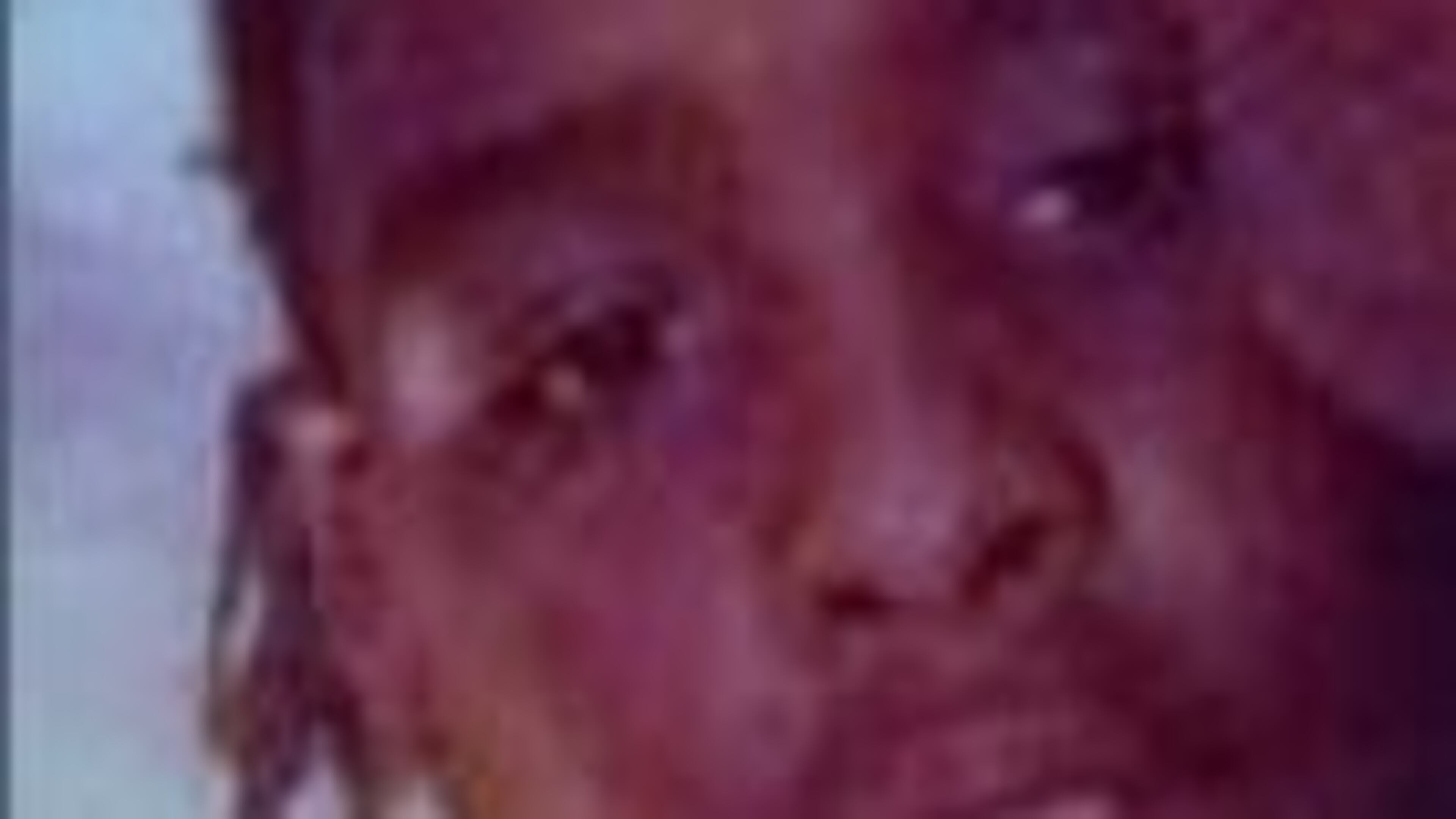 Nakyris Ridley, 12, was found a few hours after police called for a search. (Credit: Atlanta Police Department)