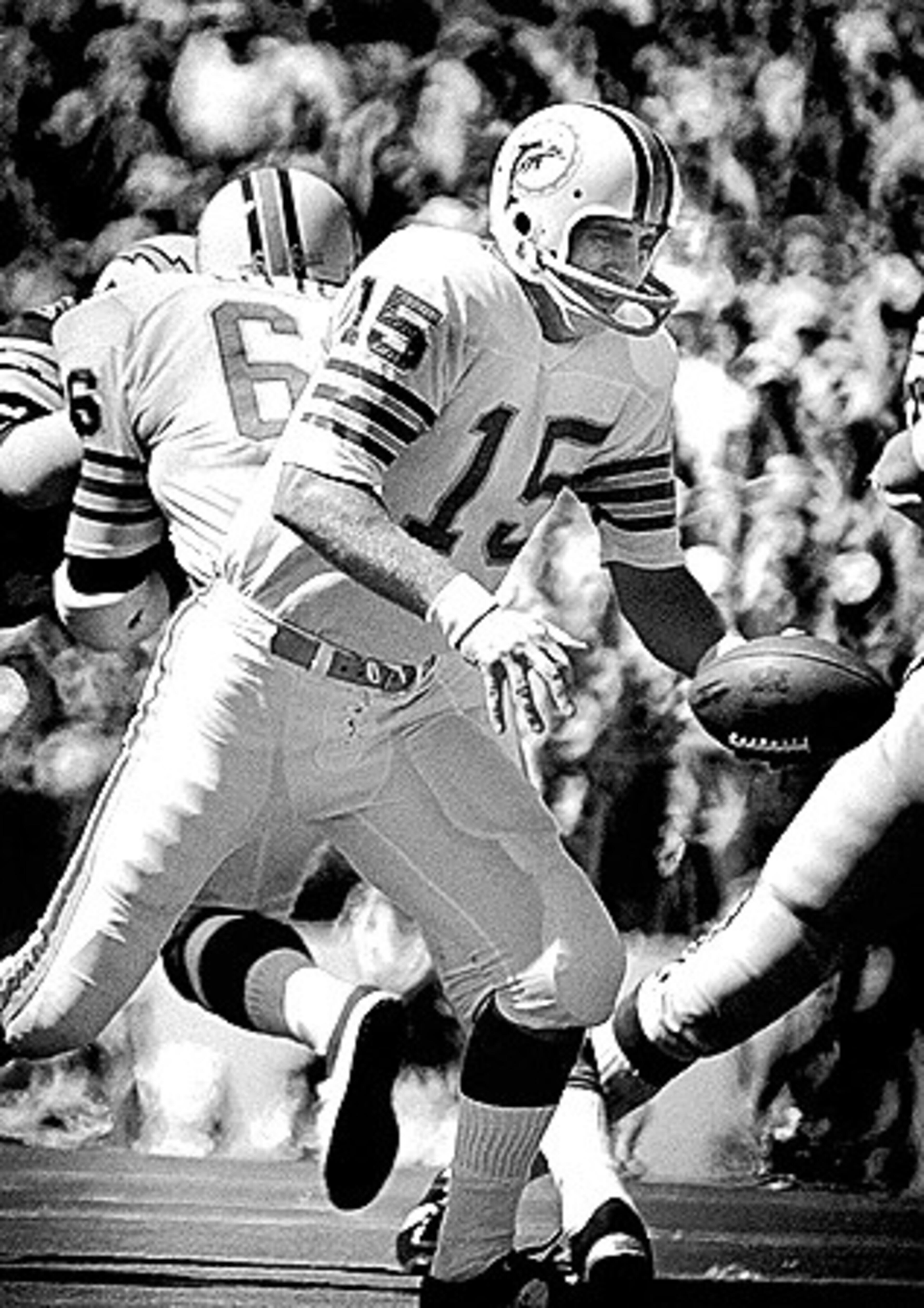 Earl Morrall closed out his 21-year career during the Miami Dolphins' heyday. During the Dolphins' historic undefeated season in 1972, he played a game at QB for an injured Bob Griese and earned NFL Comeback Player of the Year honors.