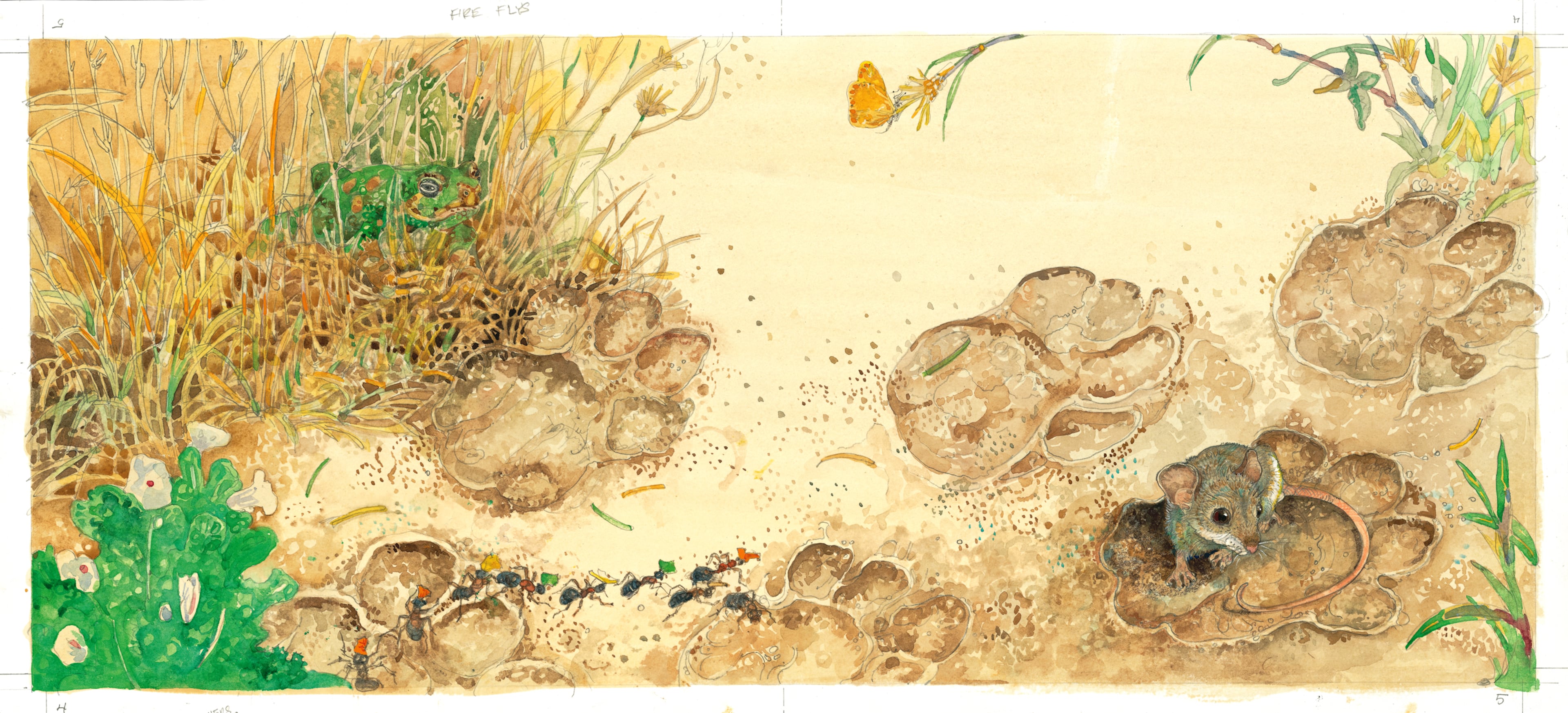 "Mouse in Lion’s Paw Print" -- Illustration from The Lion and the Mouse, 2009.