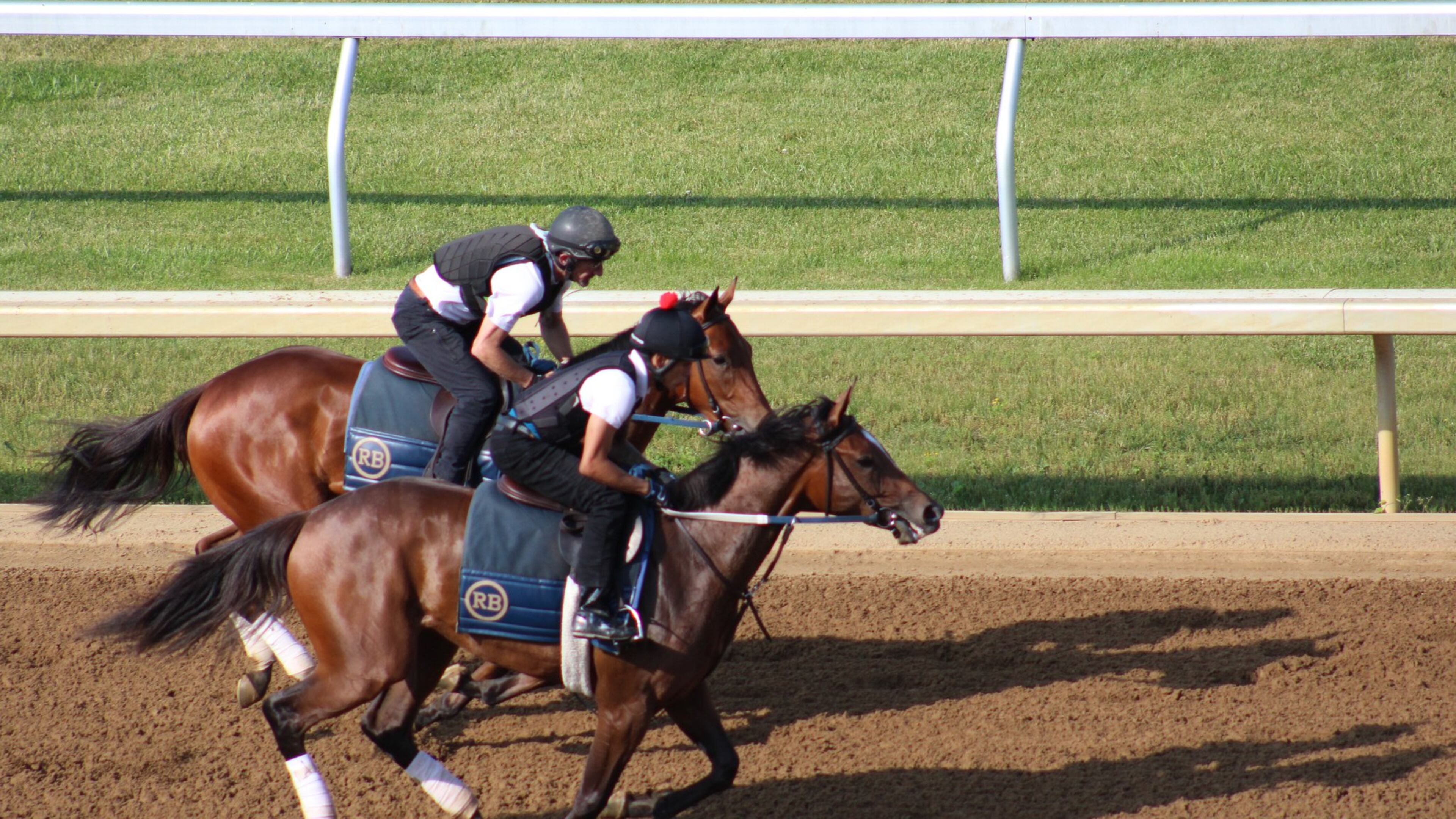 The Year-Round Tour at Keeneland racecourse in Lexington, Kentucky, offers a chance to see thoroughbreds being exercised and trained. Contributed by Jane Owen