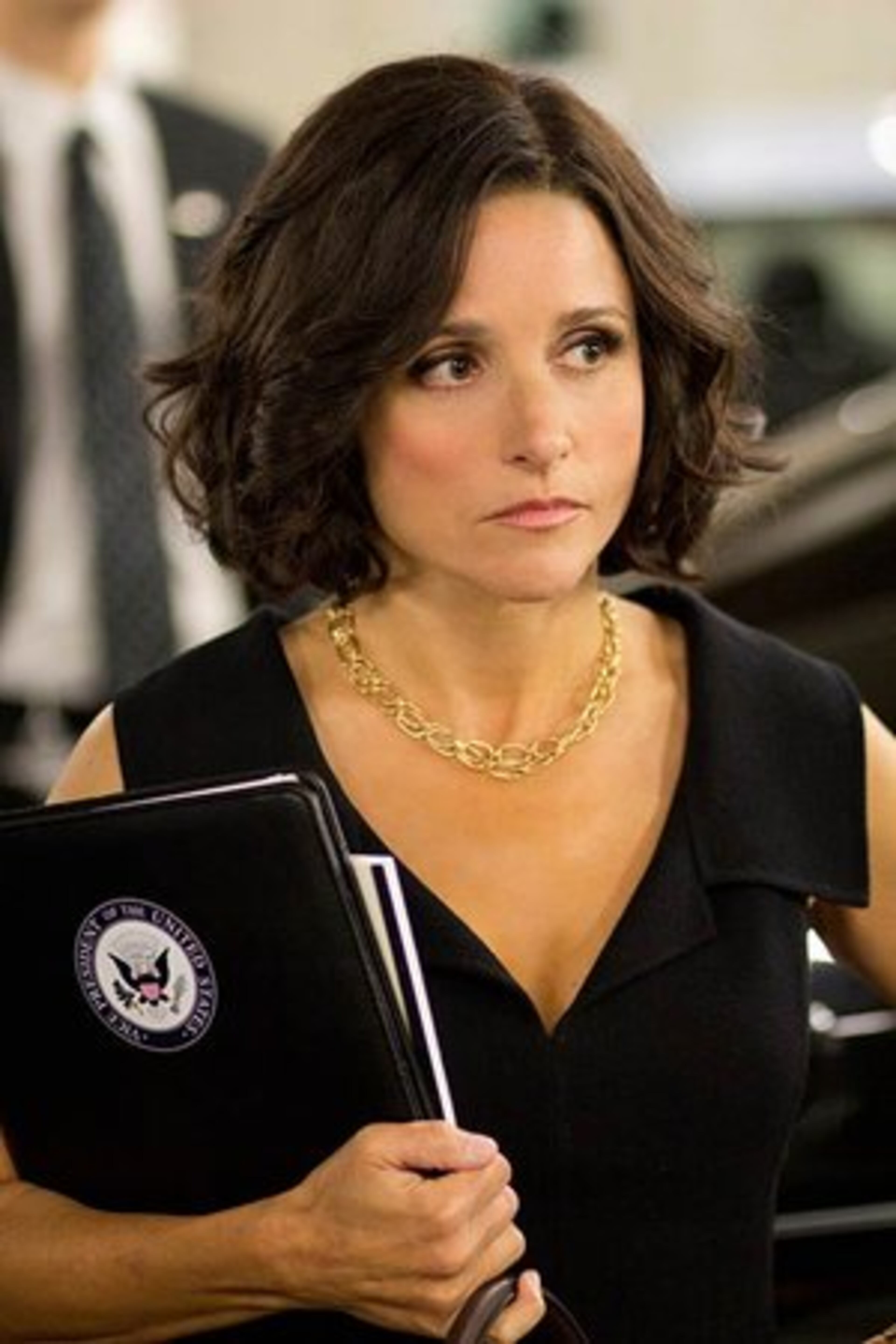 "Veep" is a nominee for Outstanding Comedy Series and Julia Louis-Dreyfus is also bidding for a Lead Actress In A Comedy Emmy for the series.