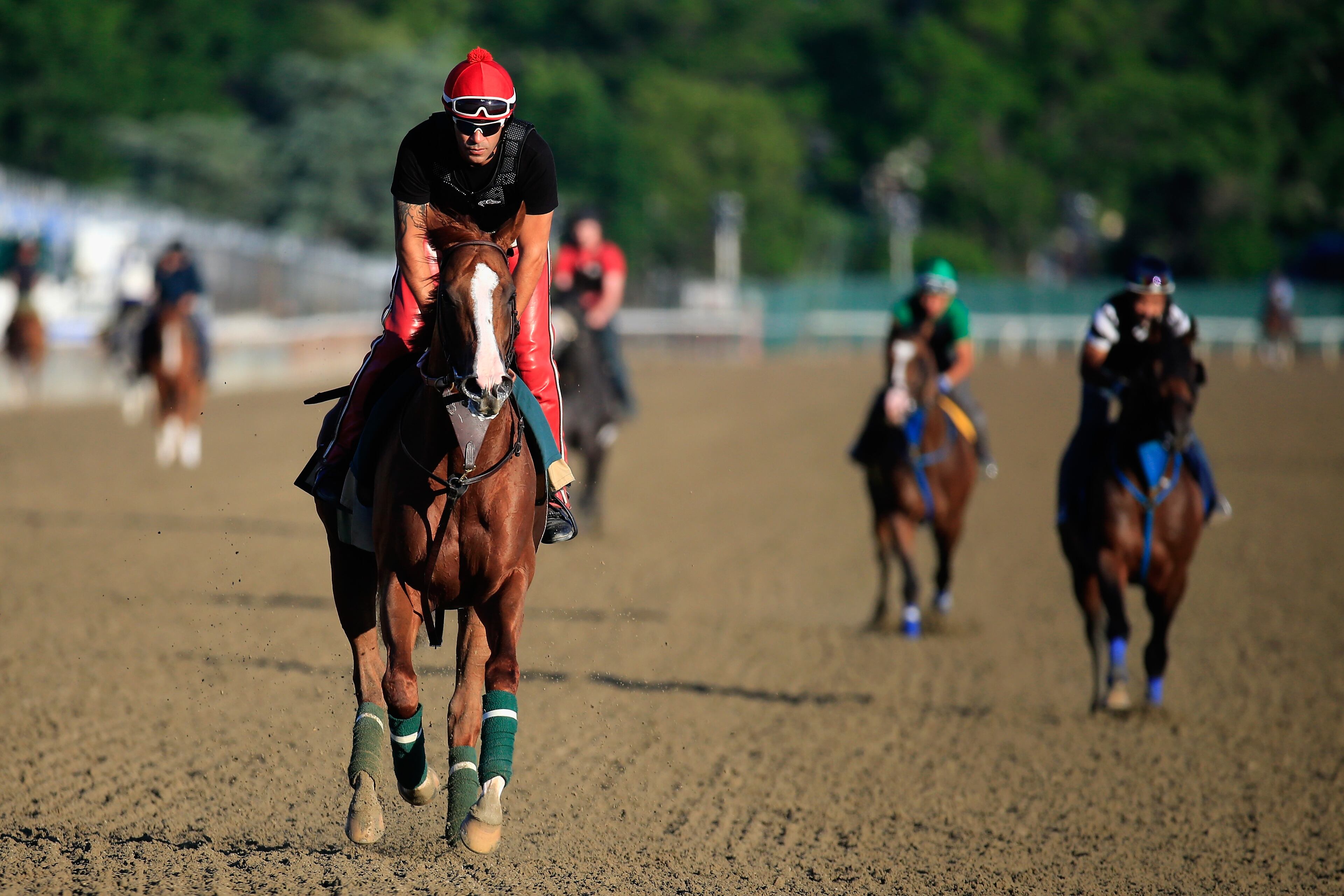 ELMONT, NY - JUNE 06: Kentucky Derby and Preakness winner California Chrome, with exercise rider Willie Delgado up, goes over the track in preparation for the 146th running of the Belmont Stakes at Belmont Park on June 6, 2014 in Elmont, New York. (Photo by Rob Carr/Getty Images)