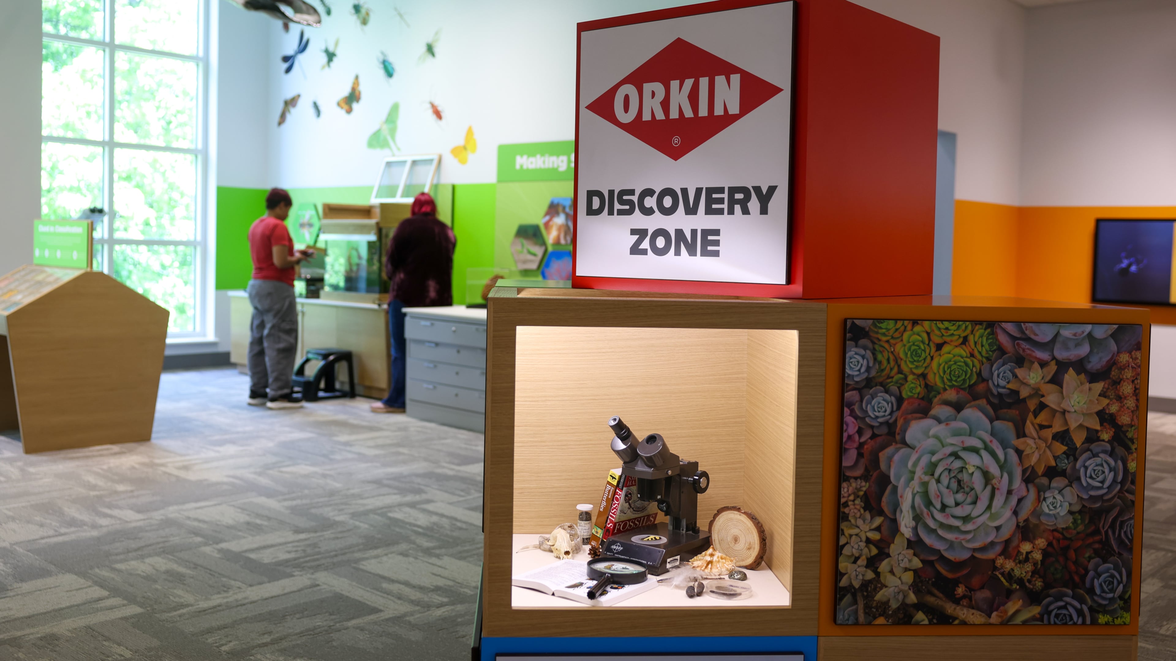 The Orkin Discovery Zone, a new exhibit at the Fernbank Museum in Atlanta, opens on Saturday as part of the museum’s $27 million renovation. (Arvin Temkar/AJC)