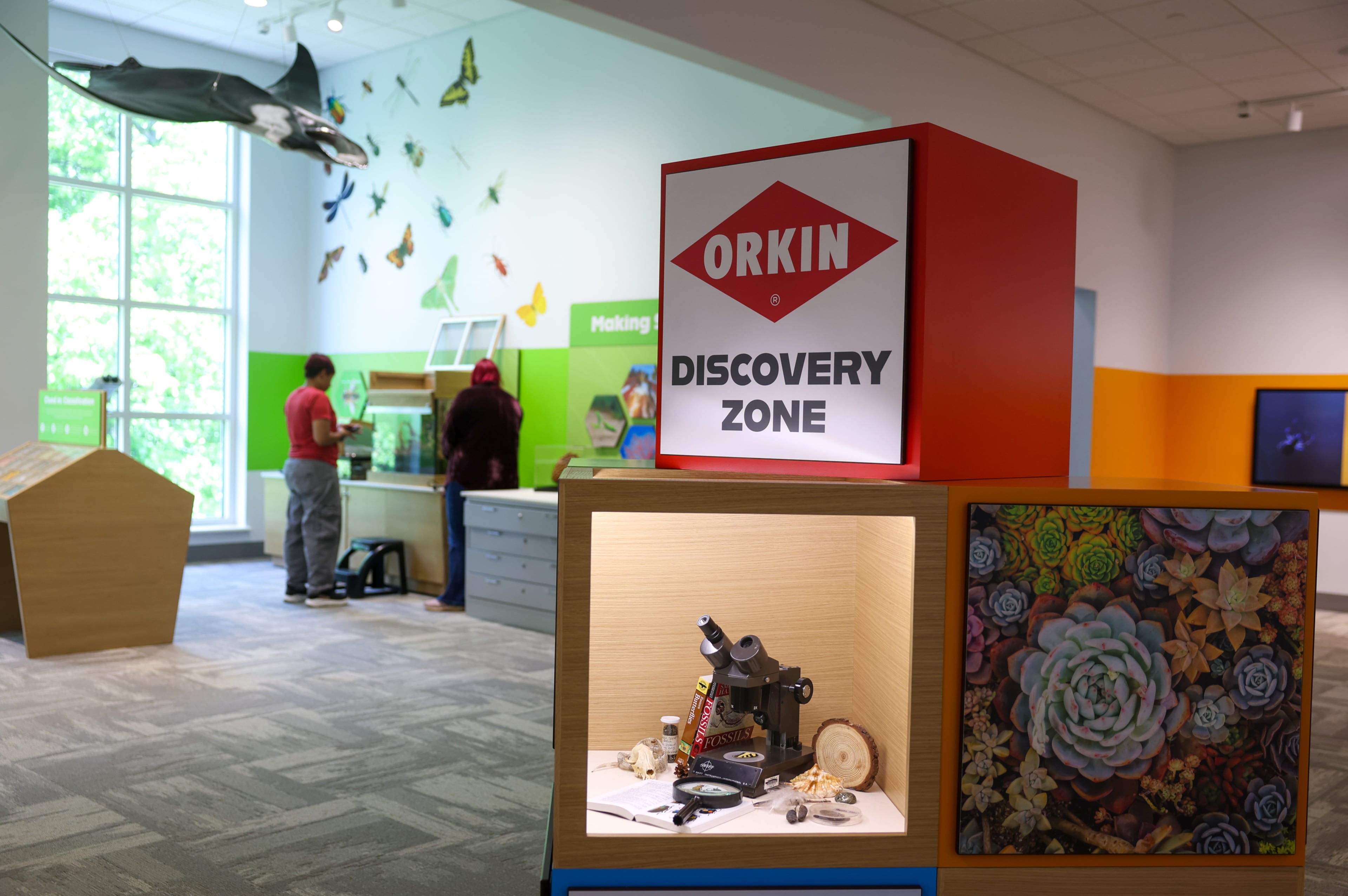The Orkin Discovery Zone, a new exhibit at the Fernbank Museum in Atlanta, opens on Saturday as part of the museum’s $27 million renovation. (Arvin Temkar/AJC)