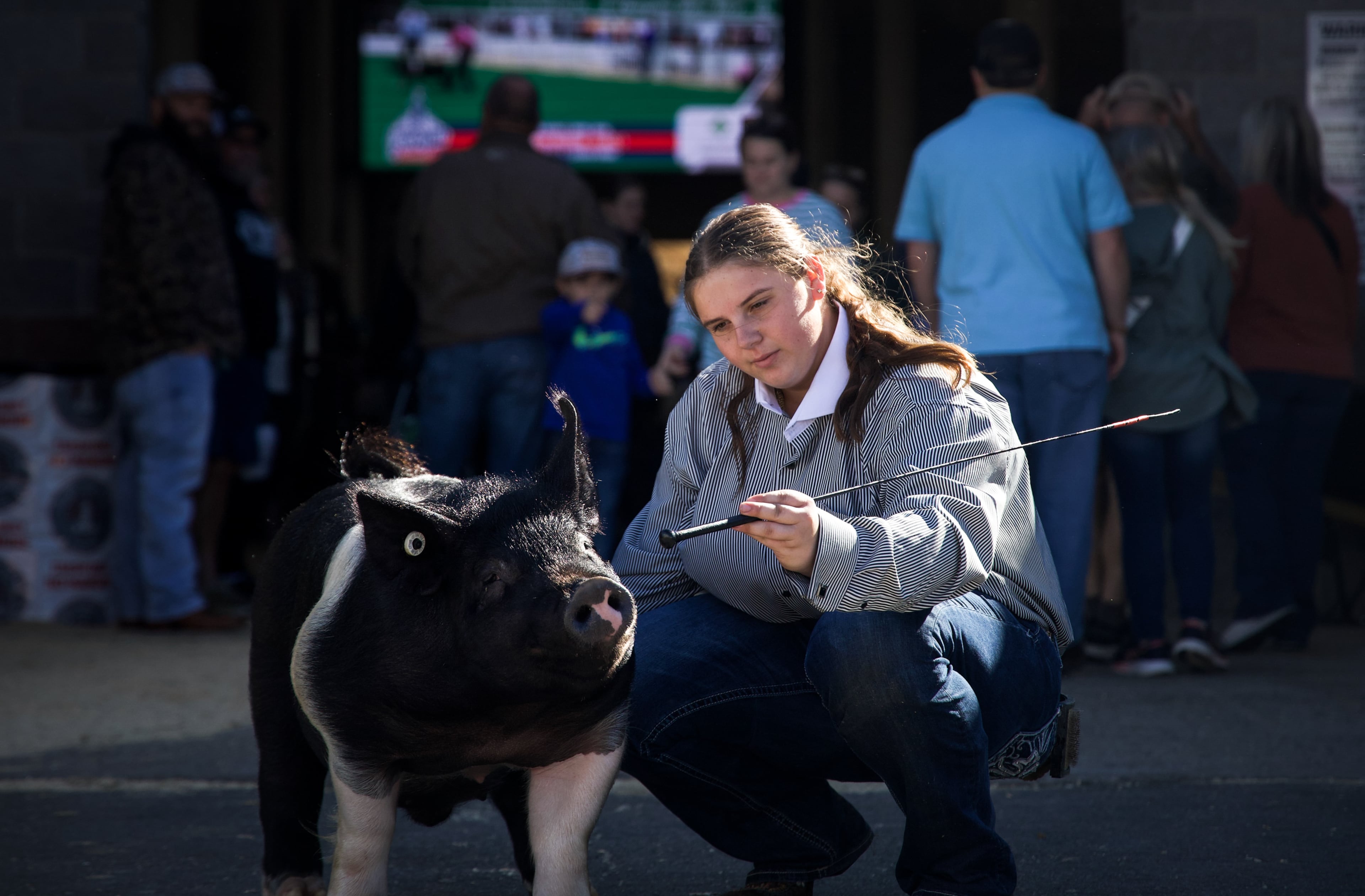 Kylie Odom, from Arabi, Georgia, prepares her pig Shaggy for the Junior Market Swine Show at the Georgia National Fair in Perry, Georgia, on Oct. 17, 2026. Odom and Shaggy placed 10th. (Emily Laycock/UGA Photojournalism Workshop)