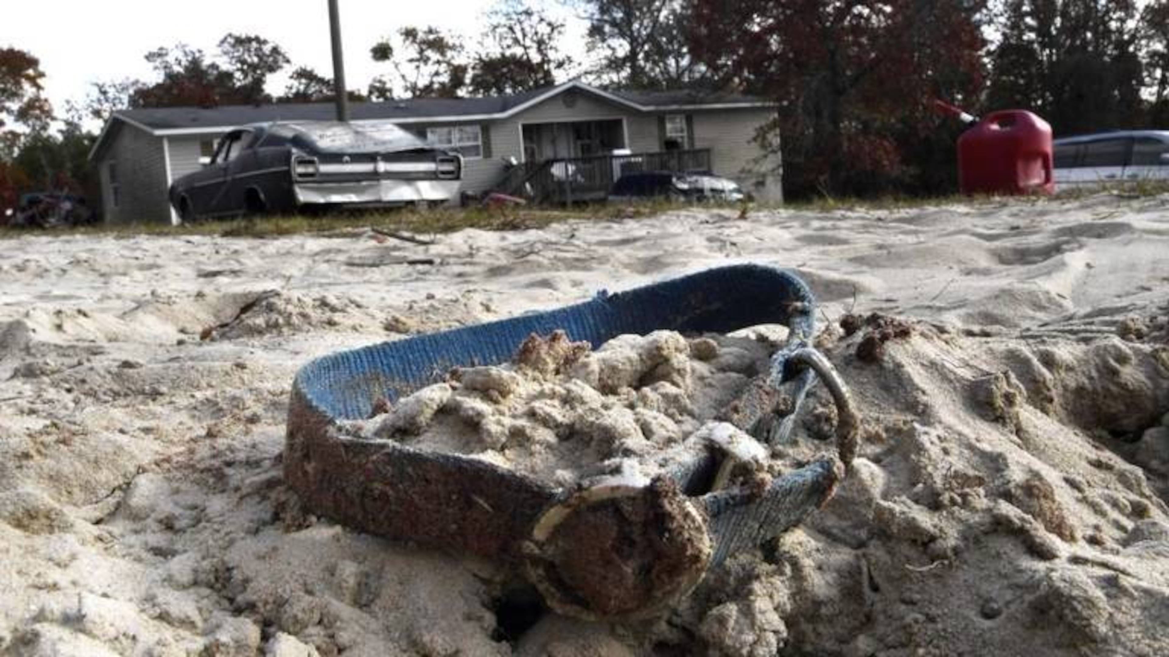 Joe Nate Goodwin said he decapitated his 2-year-old dog at the behest of sheriff’s deputies.