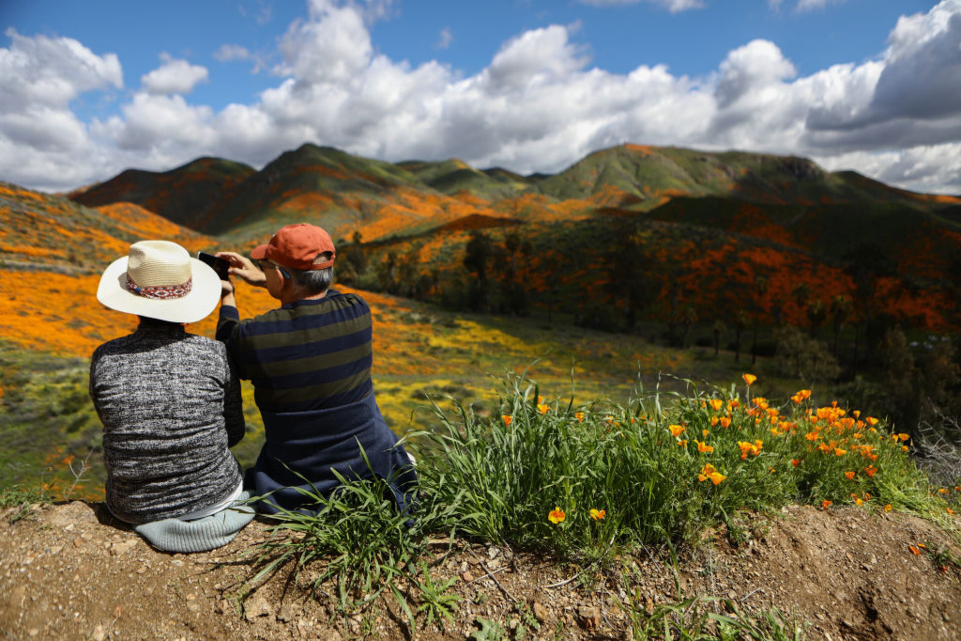 People photograph a super bloom of wild poppies blanketing the hills of Walker Canyon on March 12, 2019 near Lake Elsinore, California. Heavier than normal winter rains in California have caused a super bloom of wildflowers in various locales of the state.