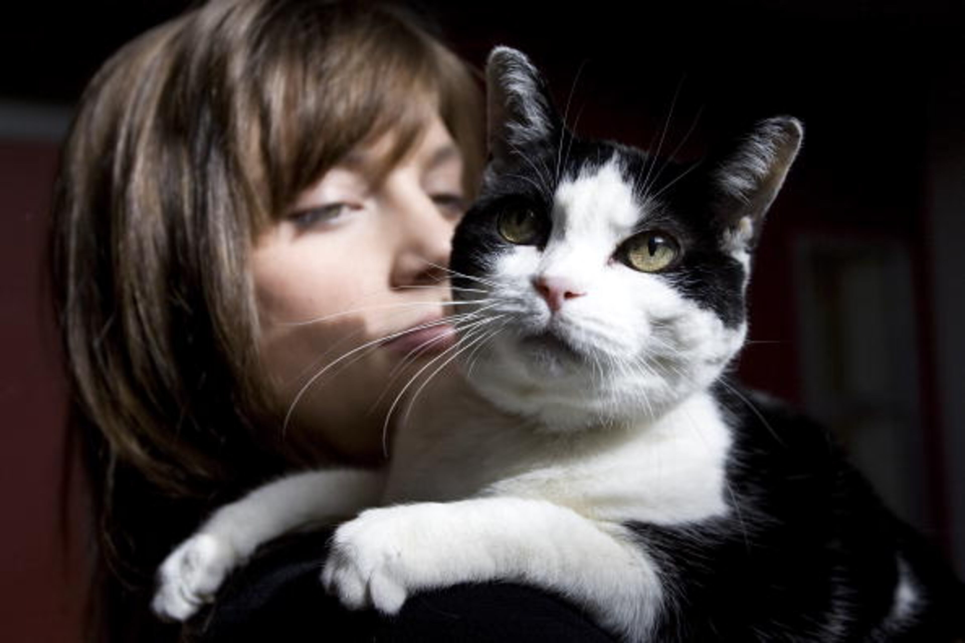 SACRAMENTO, CA - FEBRUARY 1: SPCA worker Lisa Ladyman gives Obie, a domestic shorthaired cat, some attention at the Sacramento SPCA February 1, 2008 in Sacramento, California. Obie is one of many dogs and cats who were either abandoned or surrendered to many SPCA and county shelters nationwide by their owners because they have gone through home foreclosures and had to move. In December 2007 the amount of pets being dropped off whose owners listed moving as a reason more than doubled from that of a year ago, according the Sacramento SPCA records. (Photo by David Paul Morris/Getty Images)