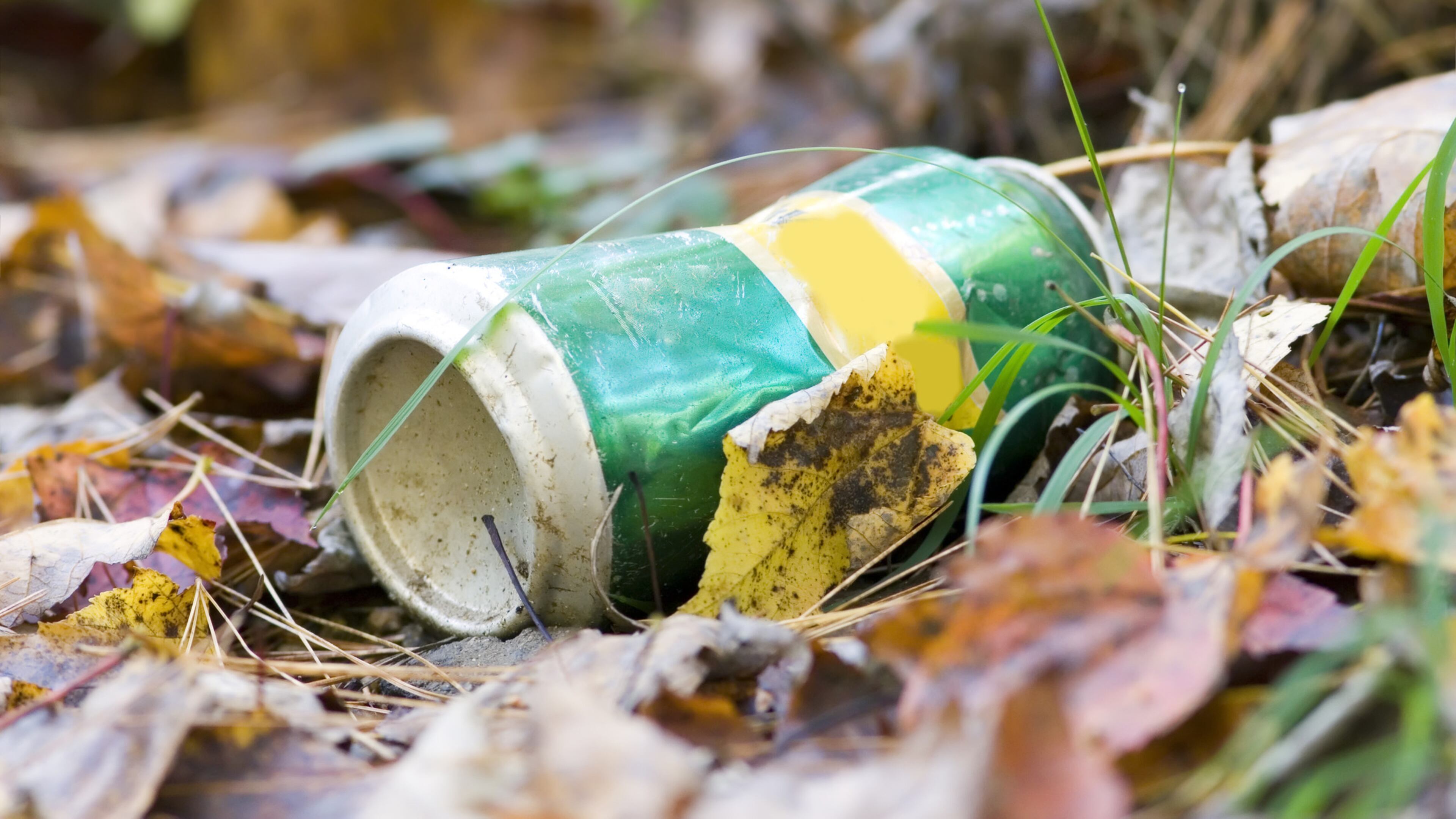 More than 2,300 gallons of sewage spilled into a creek neare Lawrenceville on Monday morning, officials said.