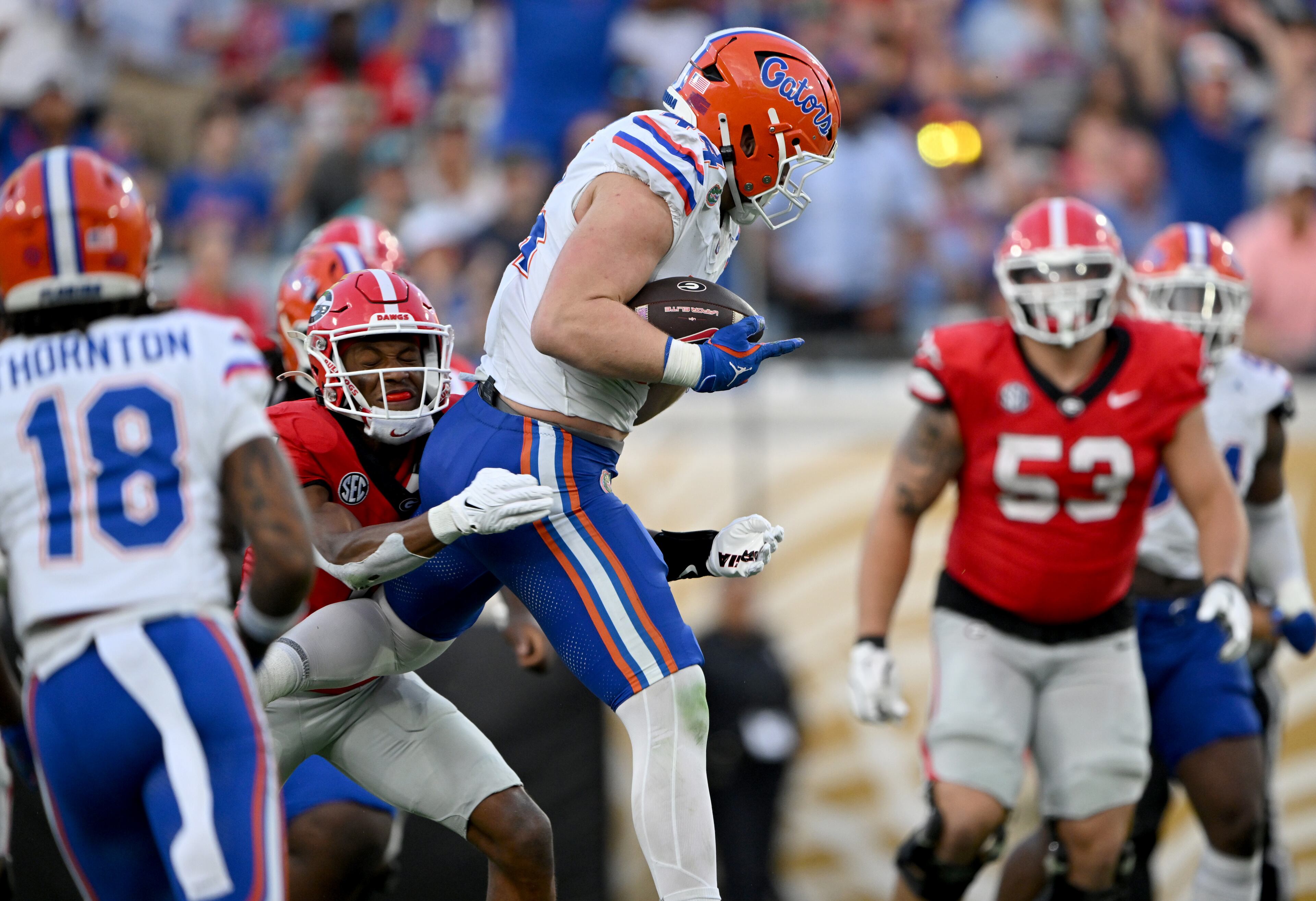 Florida edge Jack Pyburn (44) recovers the fumble by Georgia quarterback Carson Beck after getting hit by Florida linebacker Grayson Howard during the second half in the NCAA football game at EverBank Stadium, Saturday, November 2, 2024, in Jacksonville, Fla. Georgia won 34-20 over Florida. (Hyosub Shin / AJC)