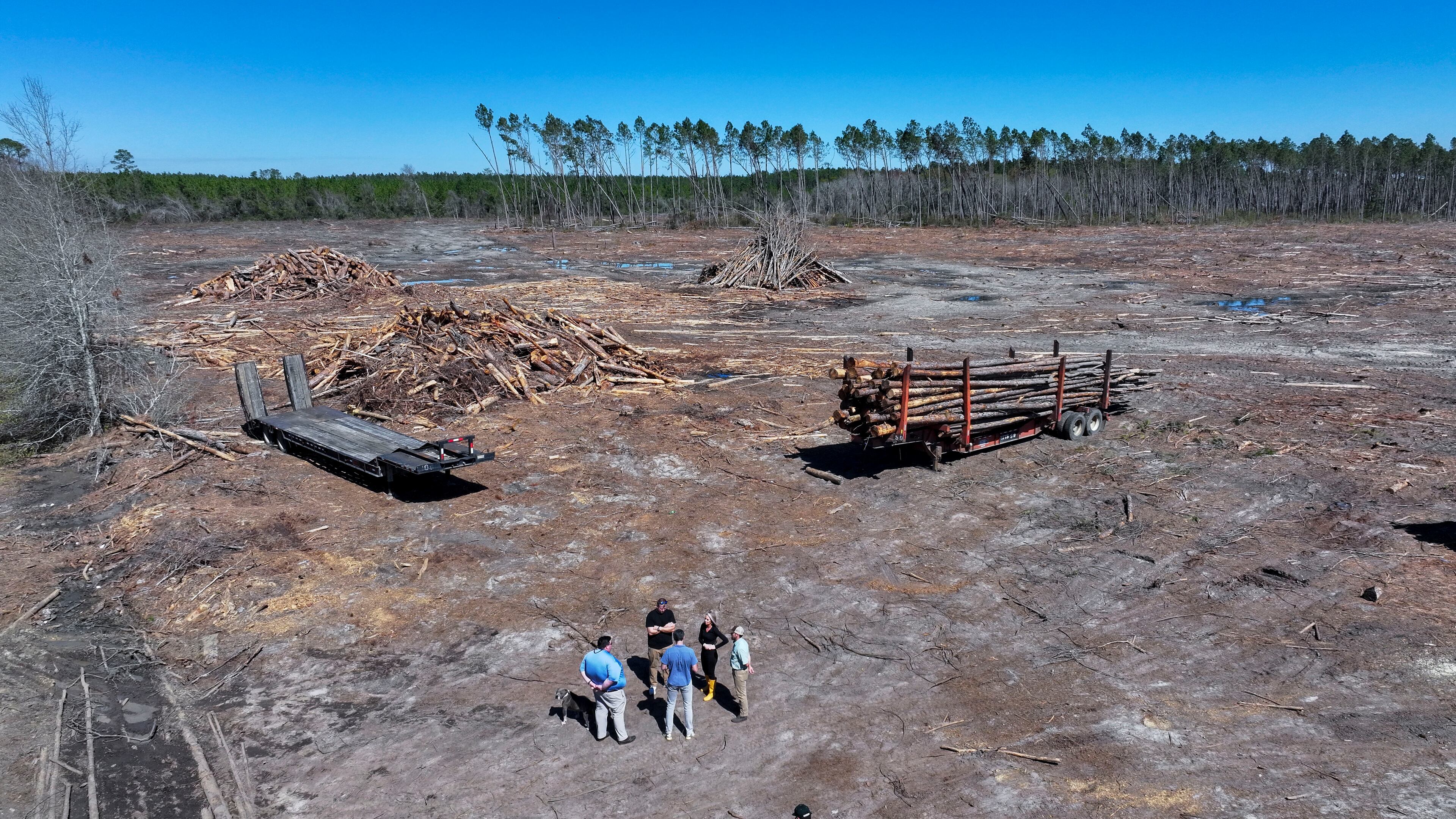 Hurricane Helene slashed the value of timber on land owned by Jake and Lana Hilderbrand about 90 miles northeast of Valdosta. (Miguel Martinez/AJC)