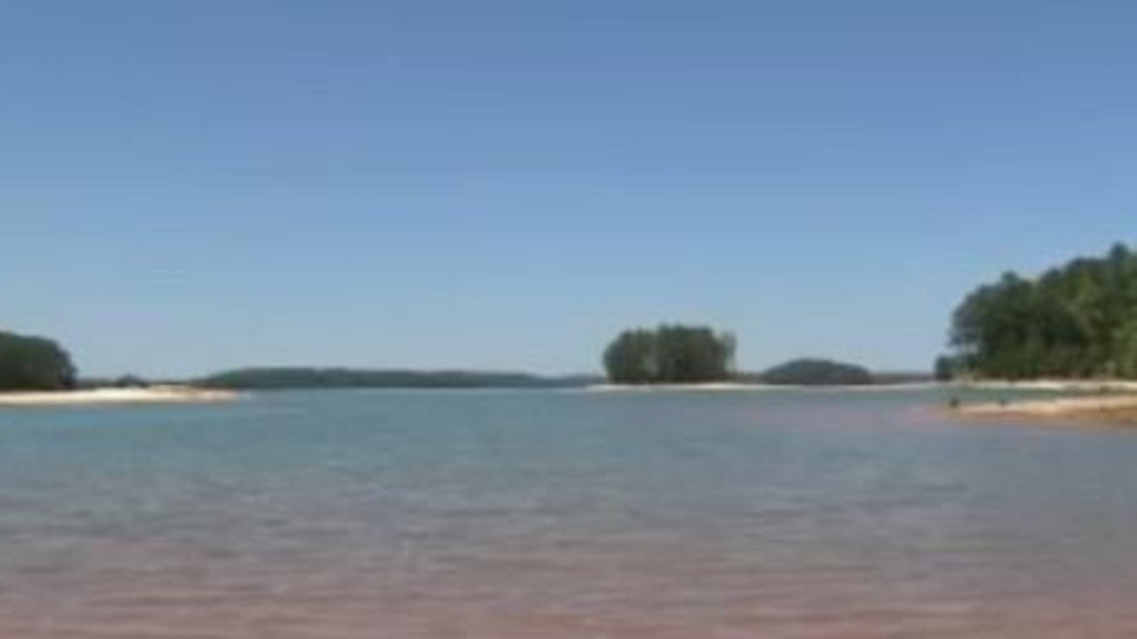 A call reported a potential drowning at Lake Lanier on Friday evening.