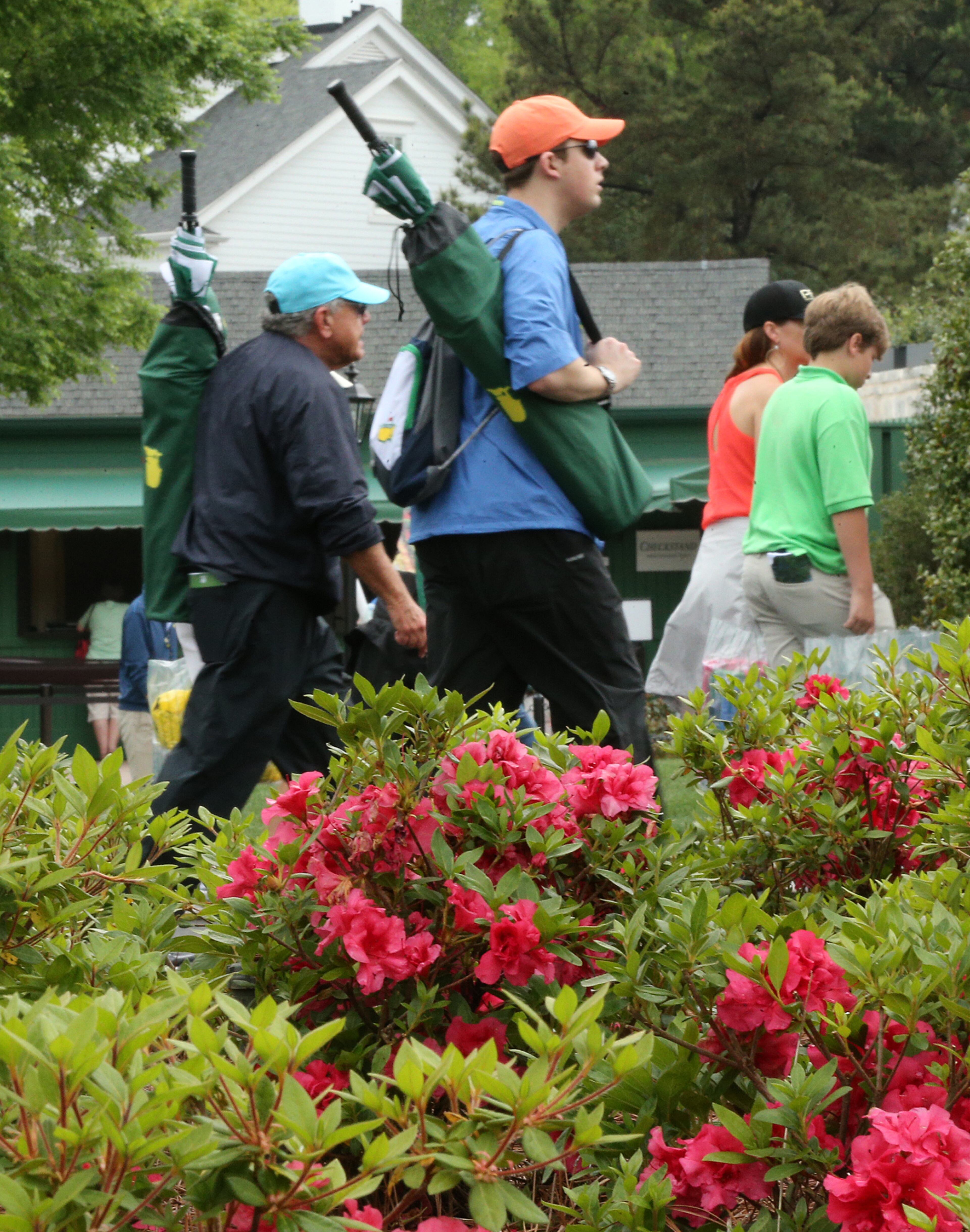 April 3, 2017, Augusta: Azaleas blooms are hard to find during practice for the Masters at Augusta National Golf Club on Monday, April 3, 2017, in Augusta. Curtis Compton/ccompton@ajc.com