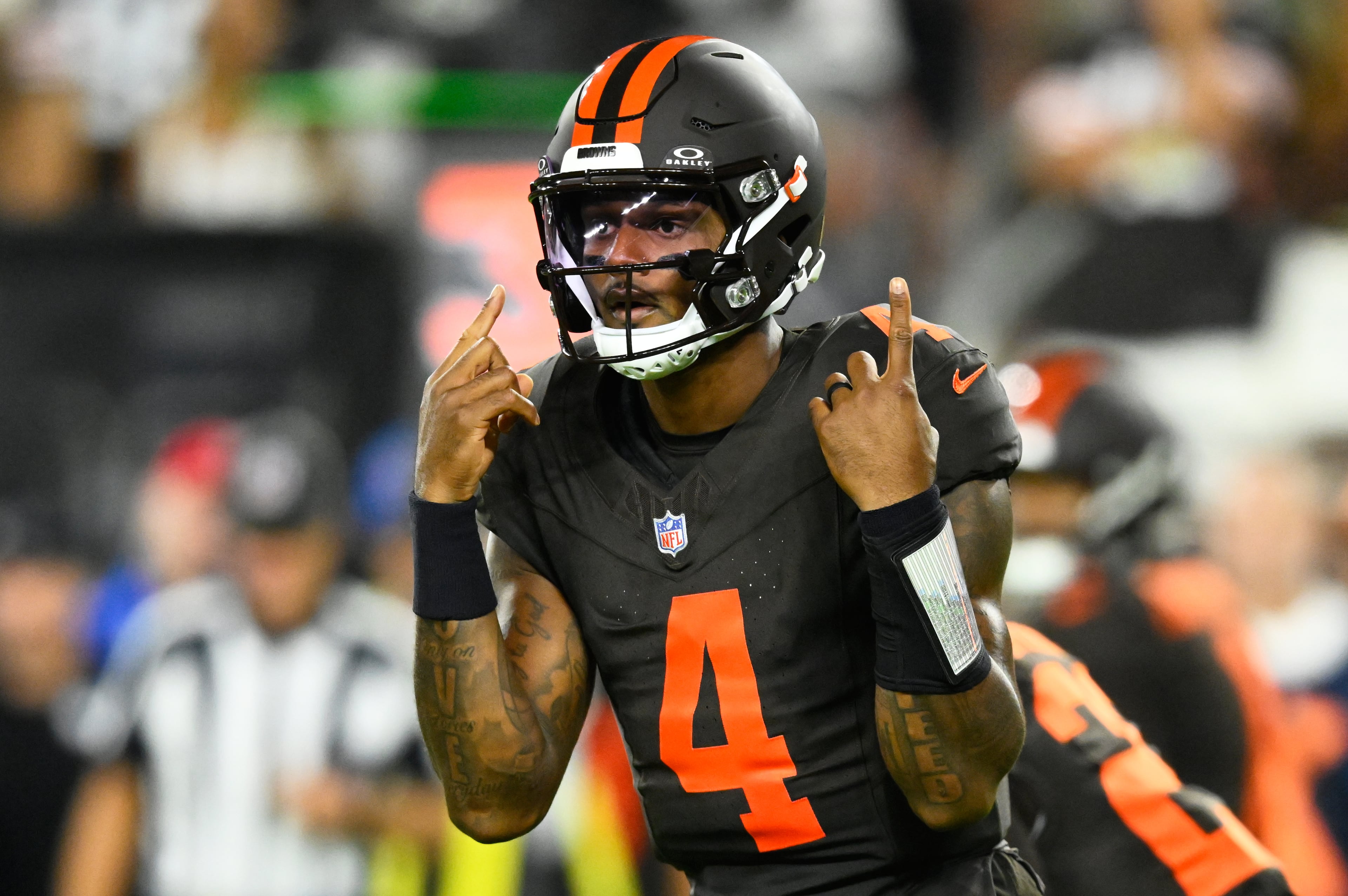 Steelers Browns Football