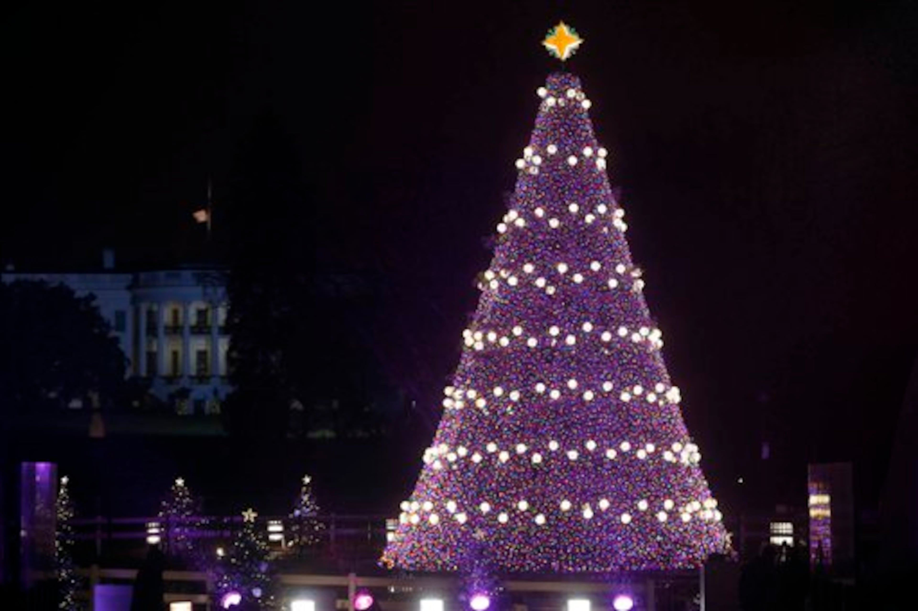 The National Christmas Tree with the White House in the background as seen from the Ellipse after President Barack Obama, first lady Michelle Obama, daughters Sasha and Malia, and mother-in-law Marian Robinson lit the tree at the National Christmas Tree lighting ceremony across from the White House in Washington, Friday, Dec. 6, 2013. (AP Photo/Charles Dharapak)