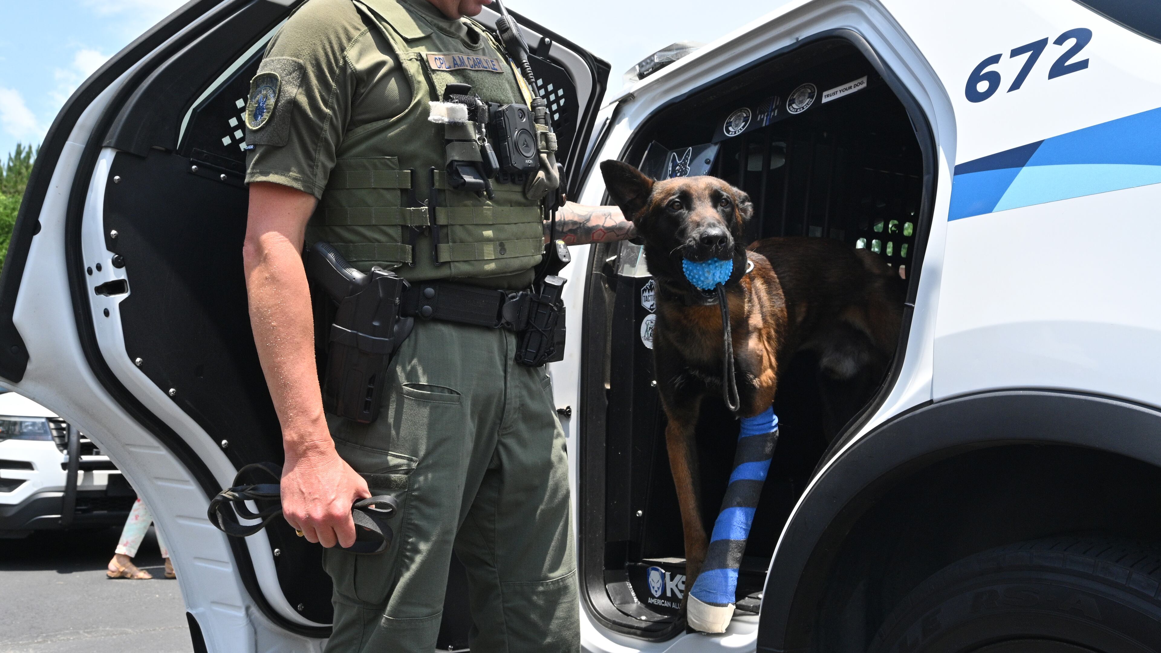 Gwinnett County police Cpl. Aaron Carlyle pets K-9 Kai, who was shot multiple times during an domestic-related incident May 23. Kai was released from North Georgia Veterinary Specialists in Buford on Tuesday, June 14.