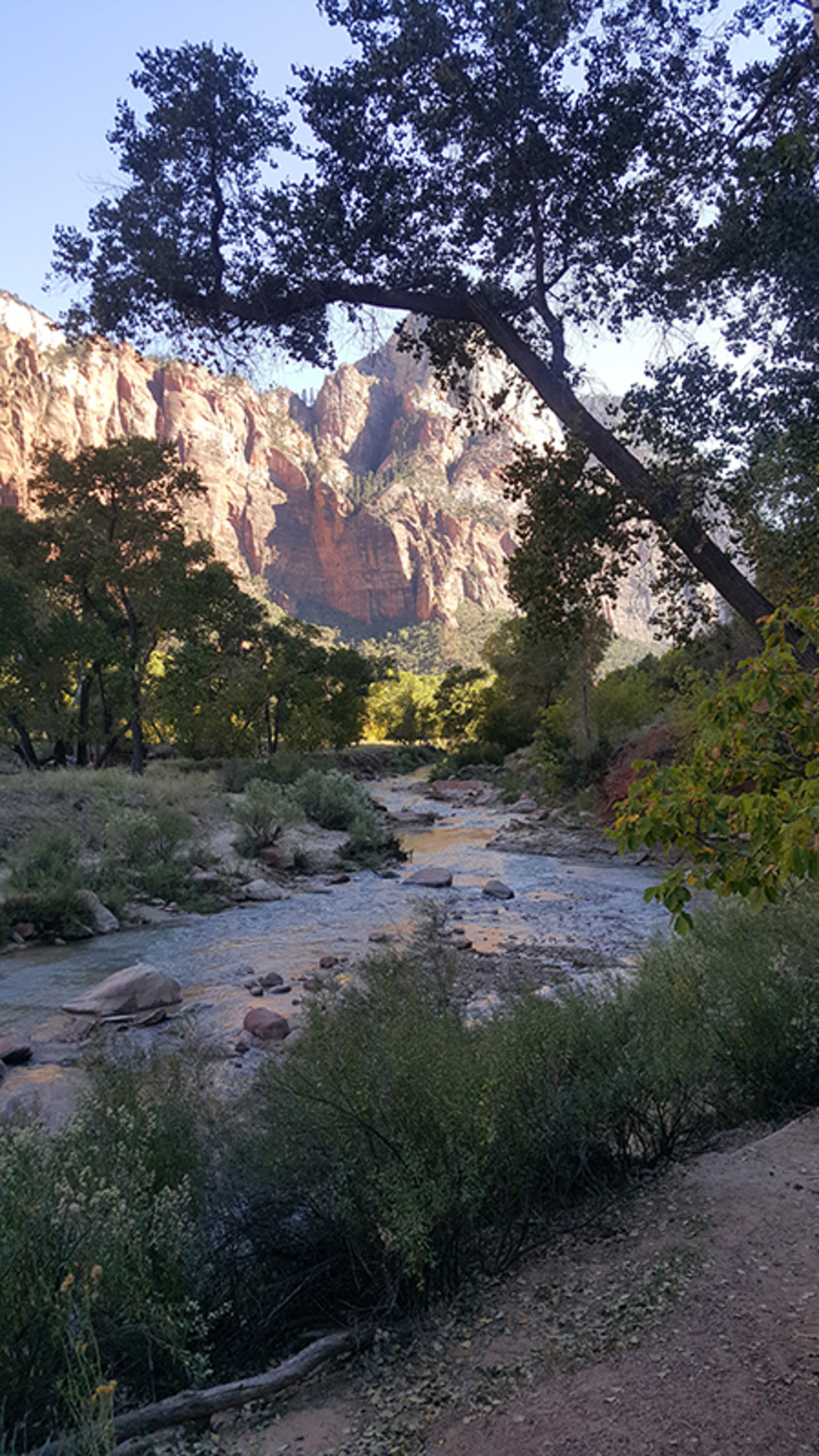 Whether you look up or down, the scenery through Zion is beautiful. NANCY CLANTON / nancy.clanton@ajc.com