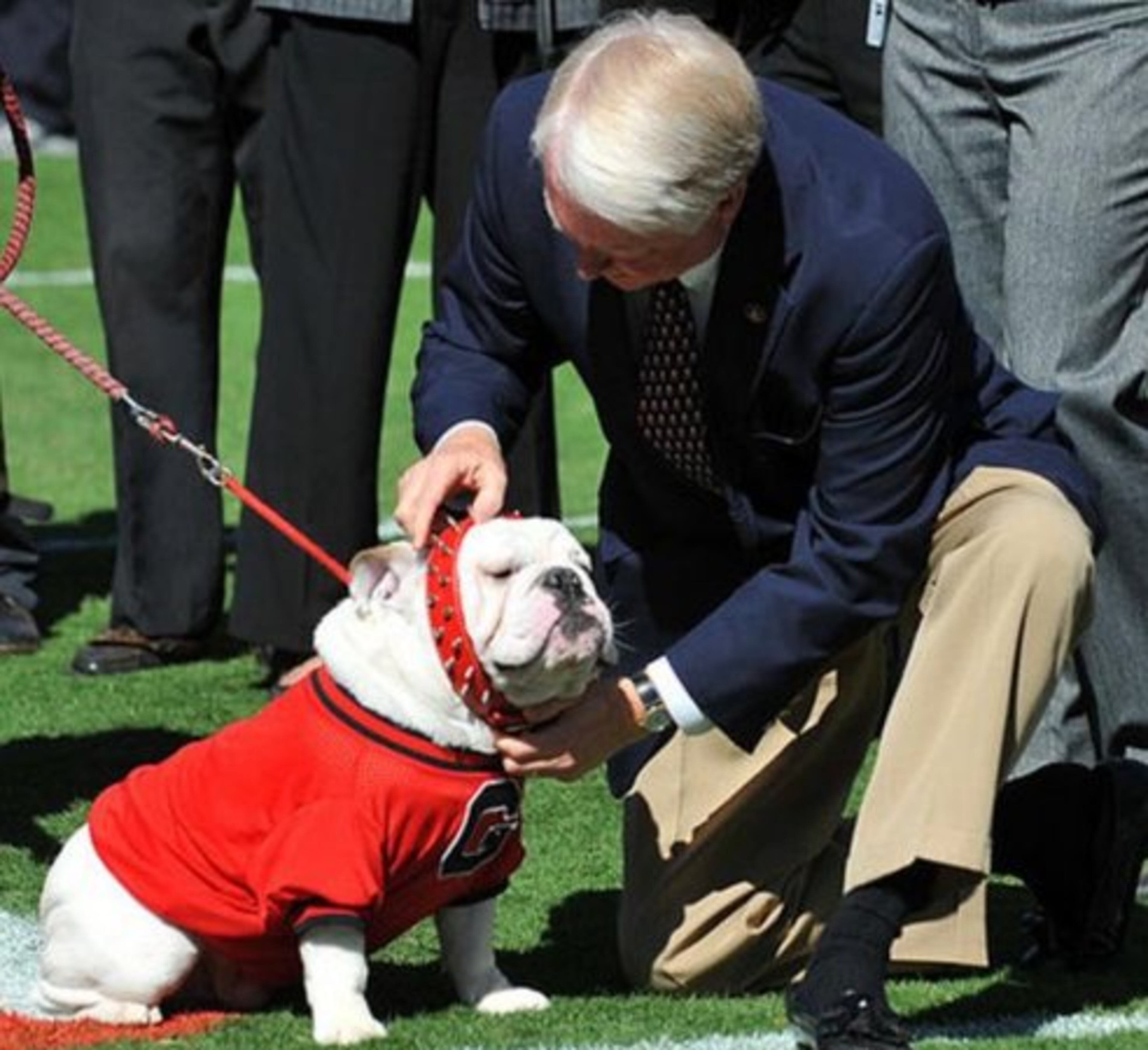UGA VIII: The Bulldogs mascot died Feb. 4, at not quite 17 months old and after only a half-season serving as the university mascot. The white English bulldog was diagnosed in January with lymphoma, a common cancer in dogs.