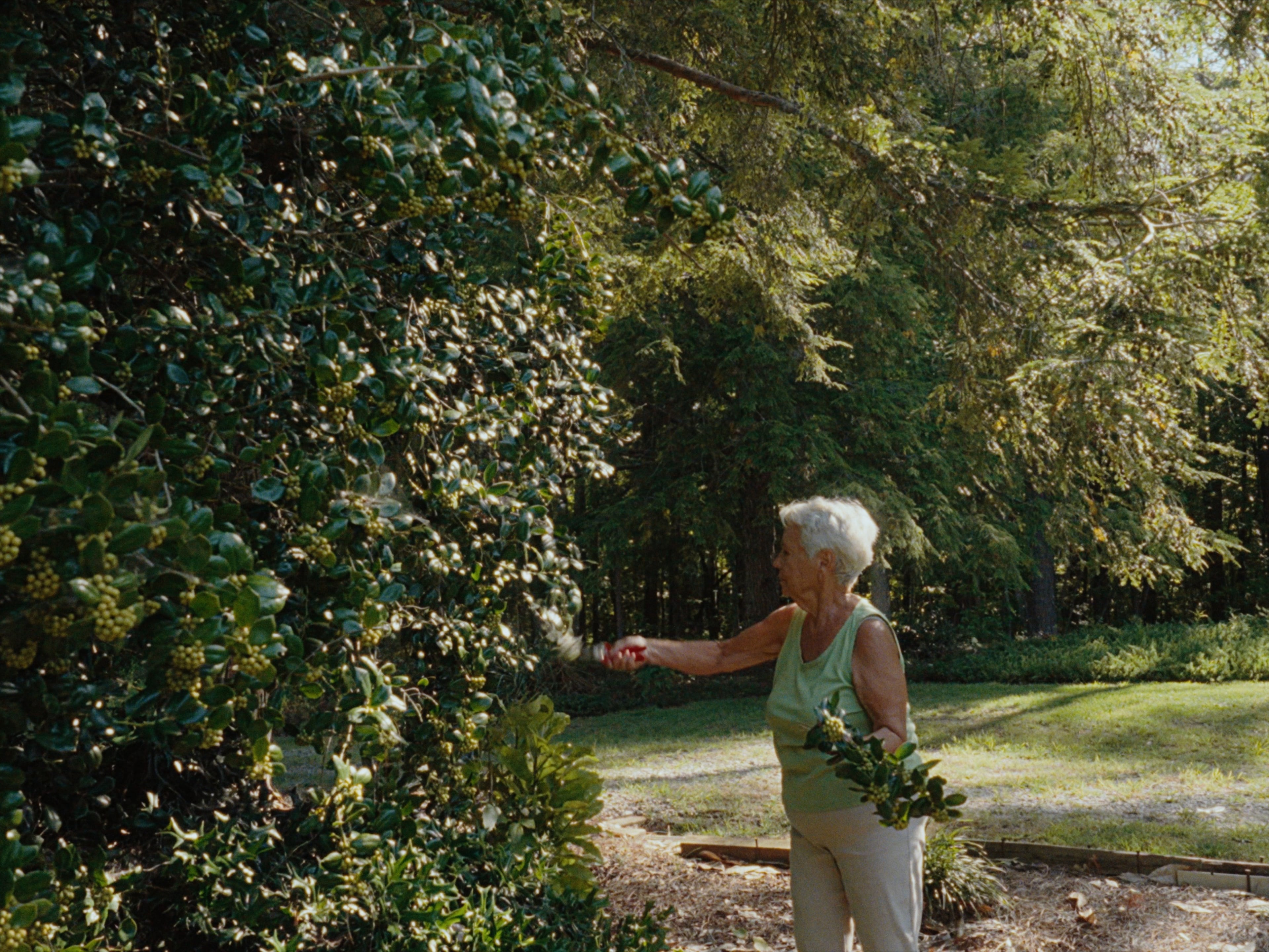 Former Atlantan Ivey Redding creates a moving portrait of her Southern grandmother in the documentary short "In the Garden." (Courtesy of Atlanta Film Festival)