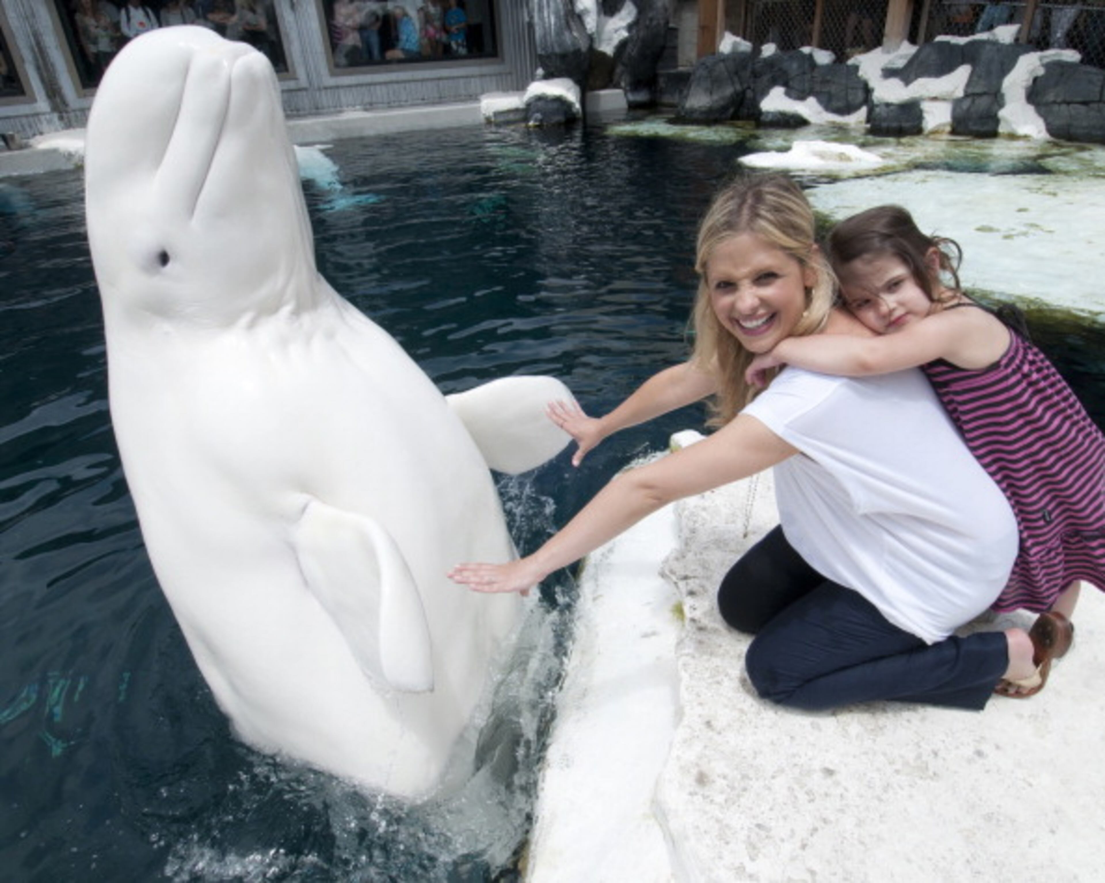 SAN DIEGO, CA - JULY 13: In this handout photo provided by SeaWorld, Sarah Michelle Gellar and her 2-year-old daughter Charlotte Prinze made a new friend in Nanuq the beluga whale at SeaWorld San Diego on July 13, 2012 in San Diego, California. The award-winning actress and her daughter also met sea lion pups, sharks, a rescued pelican and a bottlenose dolphin named Ripley during their visit to the marine-life park. (Photo by Mike Aguilera/ SeaWorld San Diego via Getty Images)