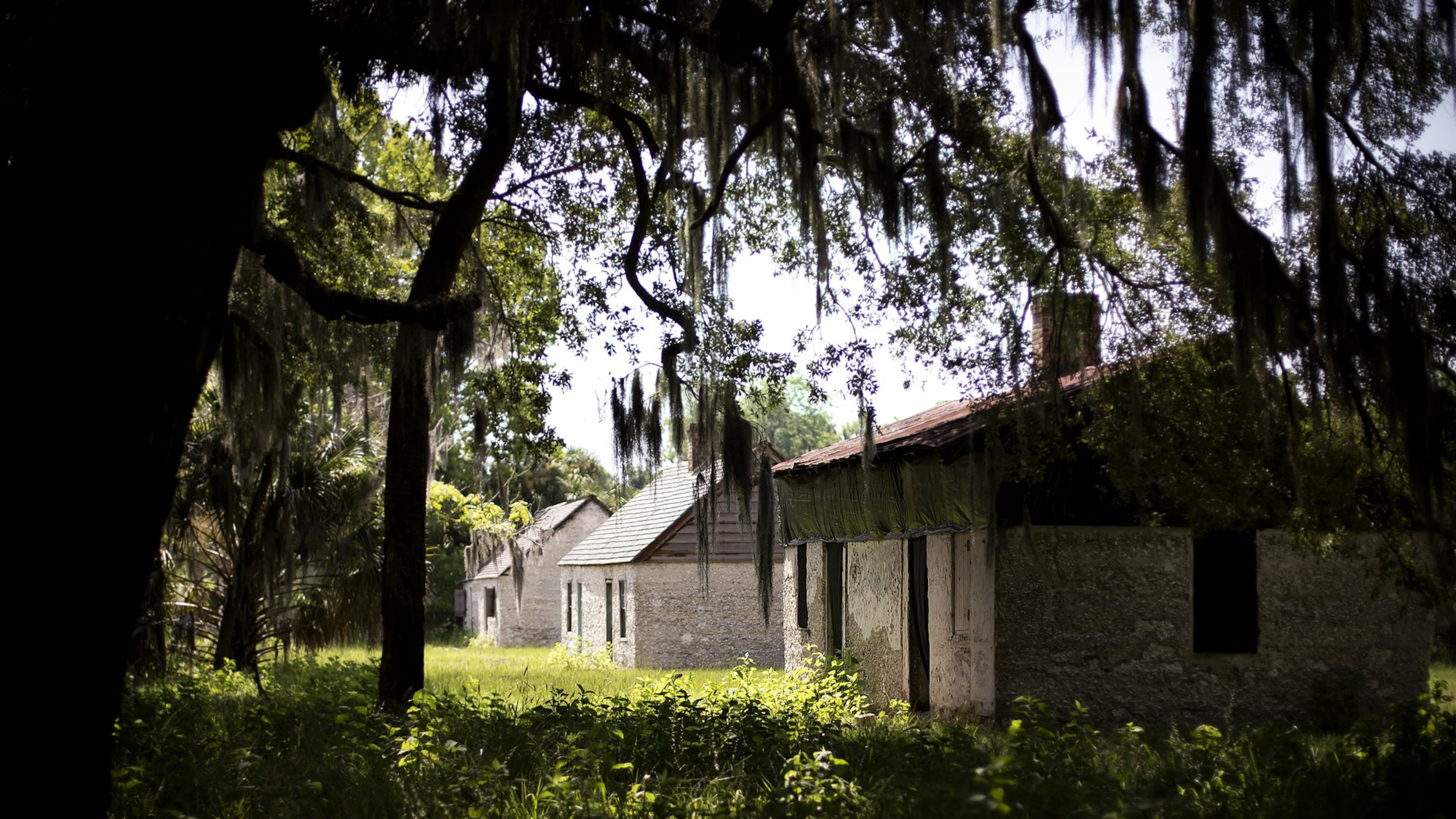 The three original tabby cabins on Ossabaw Island. The cabins housed slaves on the North End Plantation during the 1800s. (Stephen B. Morton for the AJC.)